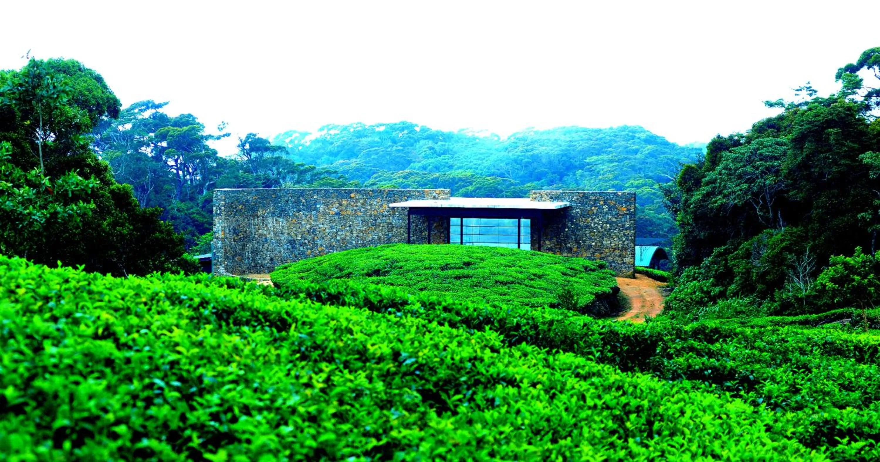 Property building in The Rainforest Ecolodge - Sinharaja with Shuttle Service from Car Park