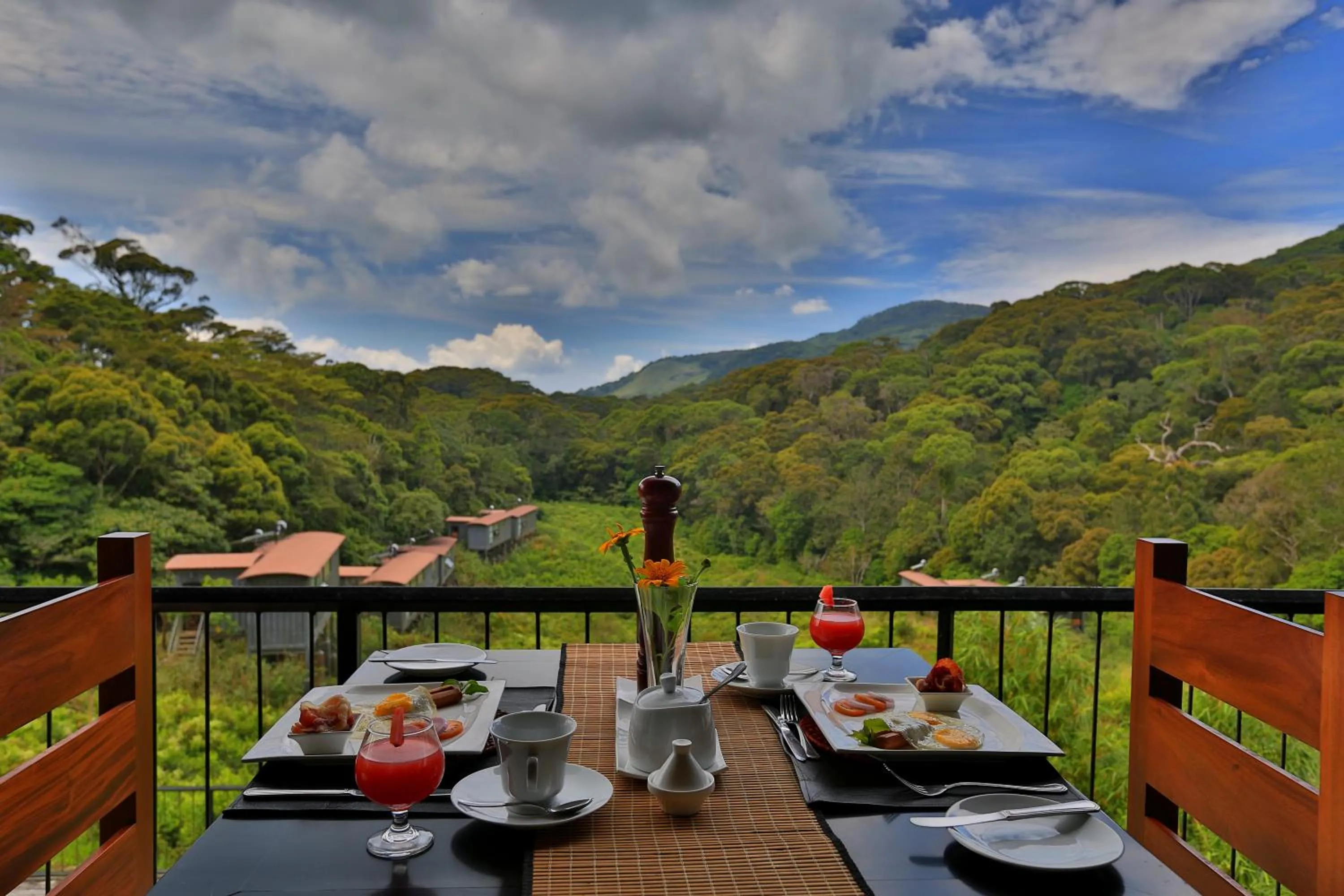 Continental breakfast in The Rainforest Ecolodge - Sinharaja with Shuttle Service from Car Park