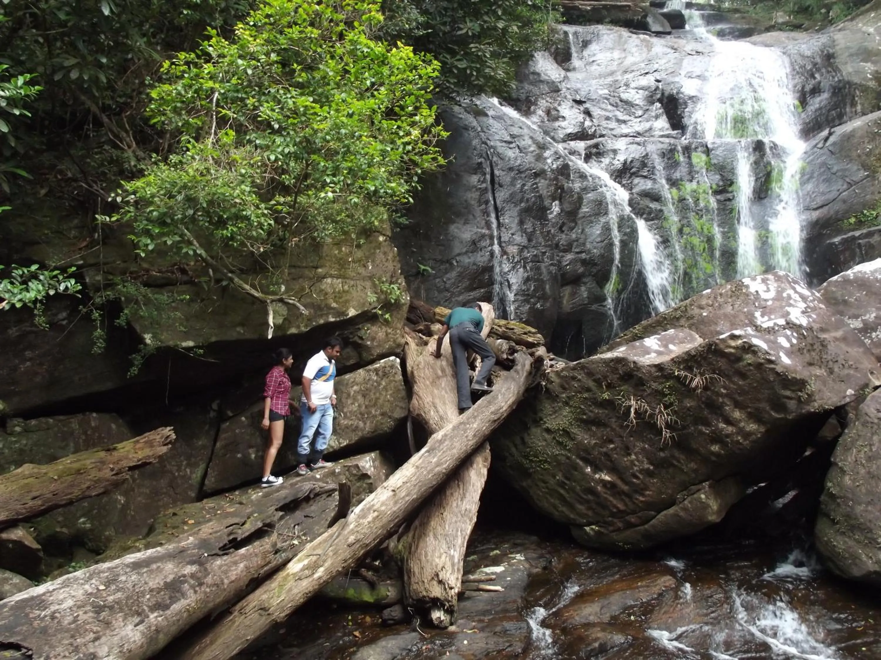 Activities in The Rainforest Ecolodge - Sinharaja with Shuttle Service from Car Park