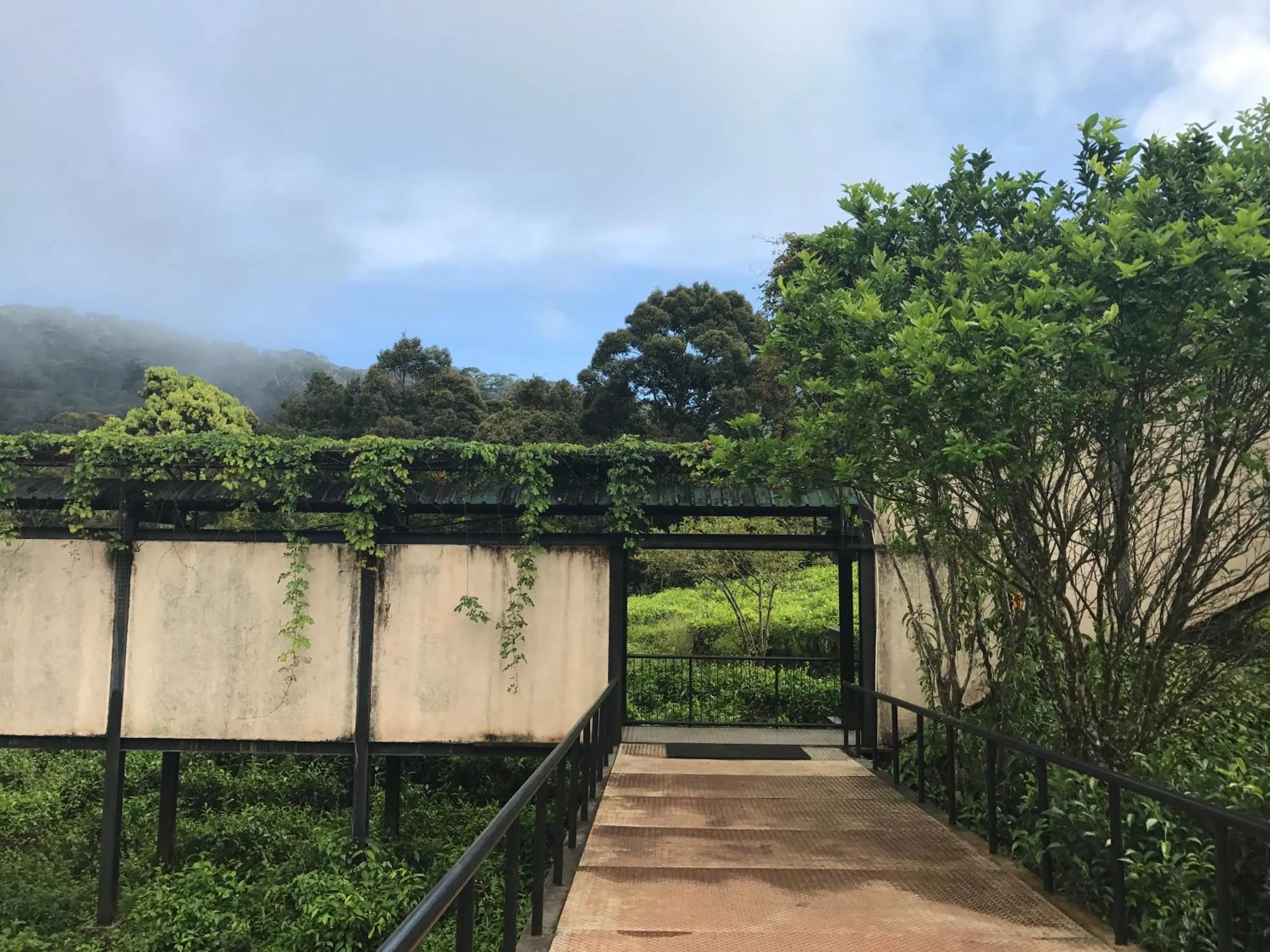 Facade/entrance in The Rainforest Ecolodge - Sinharaja with Shuttle Service from Car Park