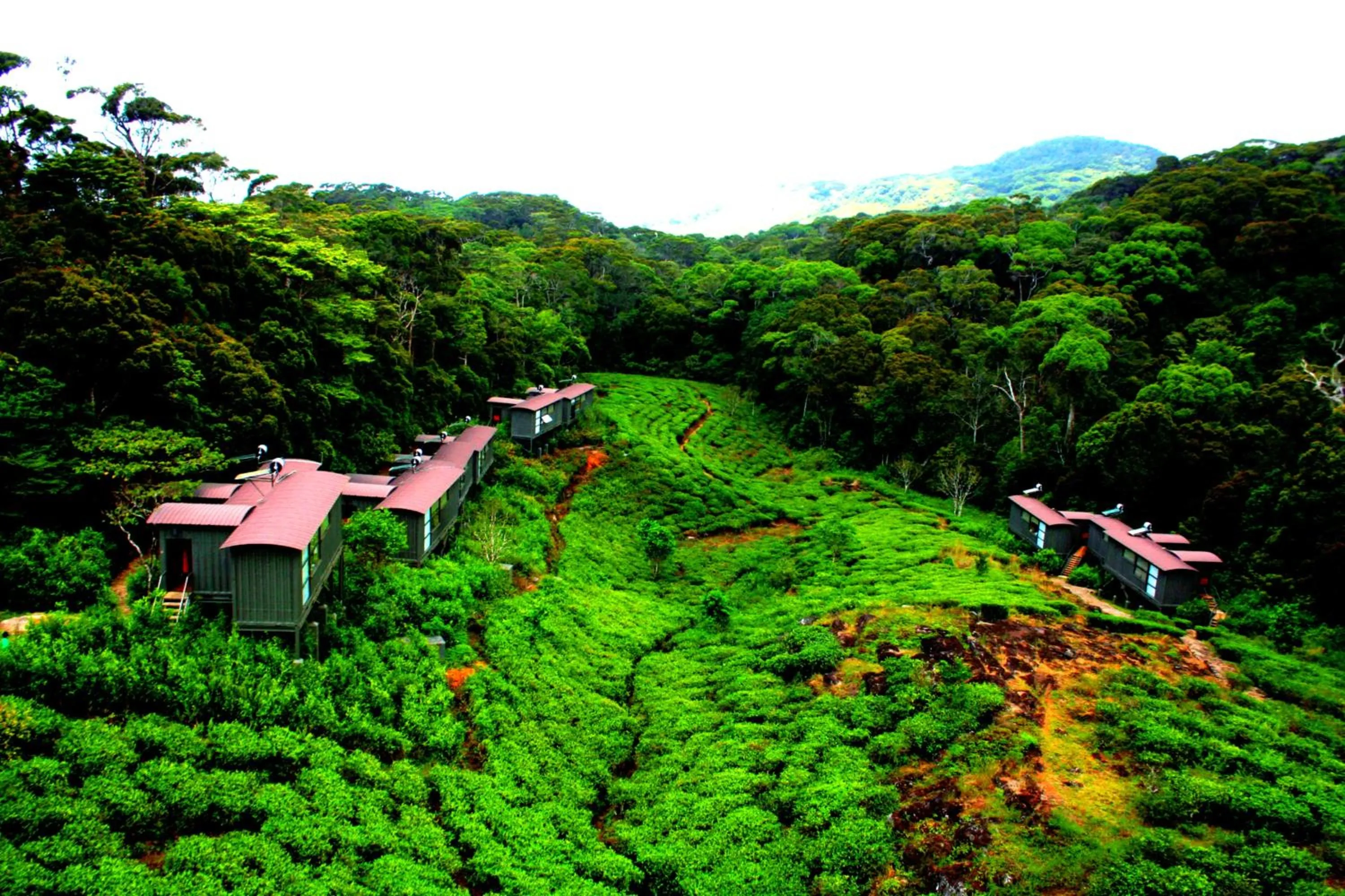View (from property/room) in The Rainforest Ecolodge - Sinharaja with Shuttle Service from Car Park
