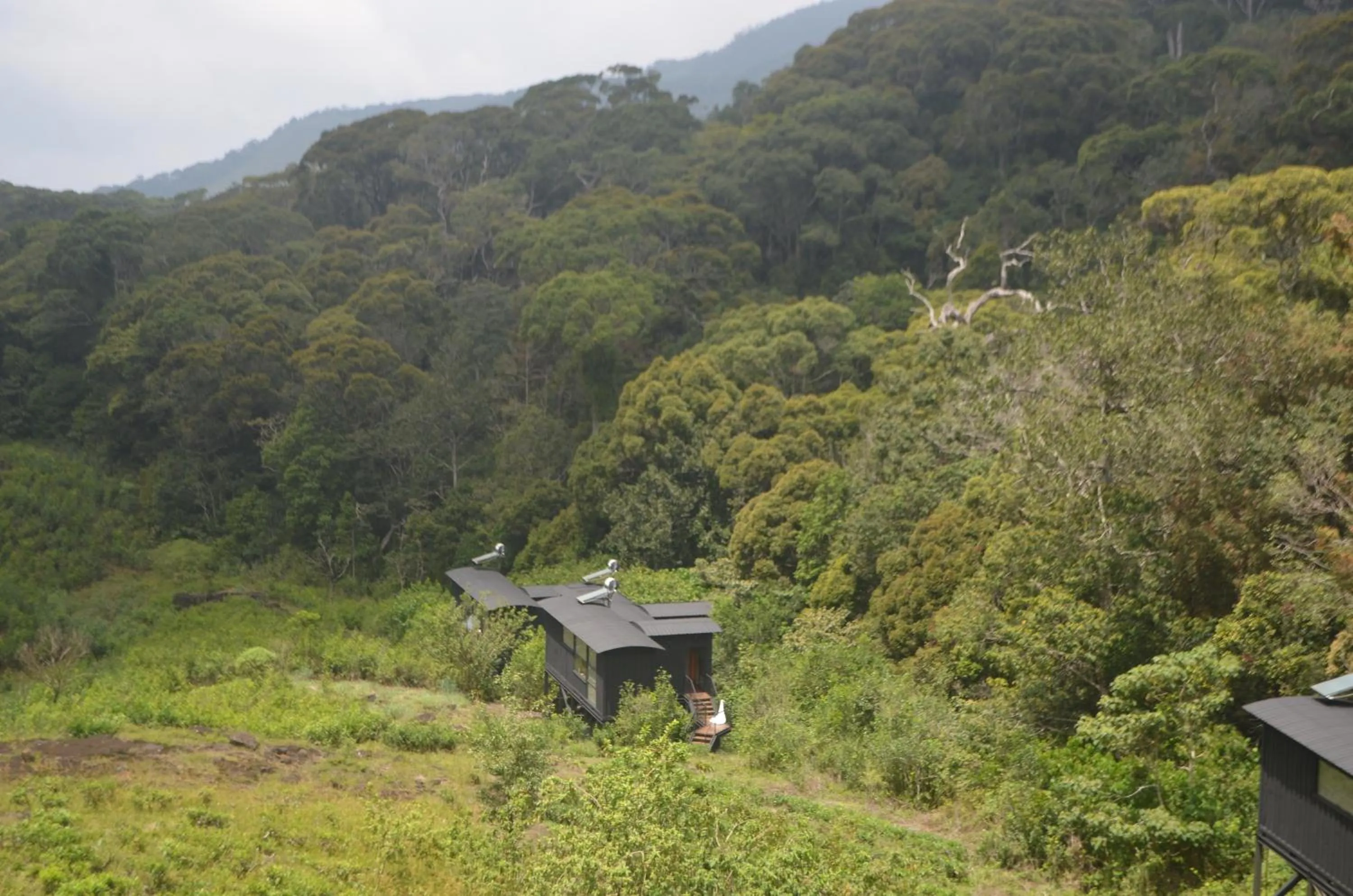 On site in The Rainforest Ecolodge - Sinharaja with Shuttle Service from Car Park