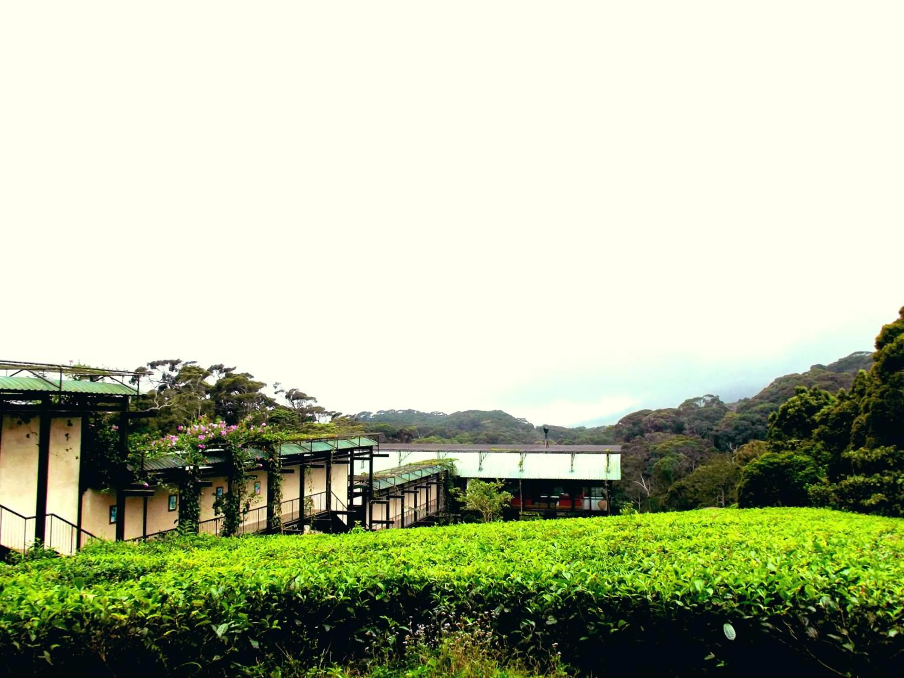 Other in The Rainforest Ecolodge - Sinharaja with Shuttle Service from Car Park