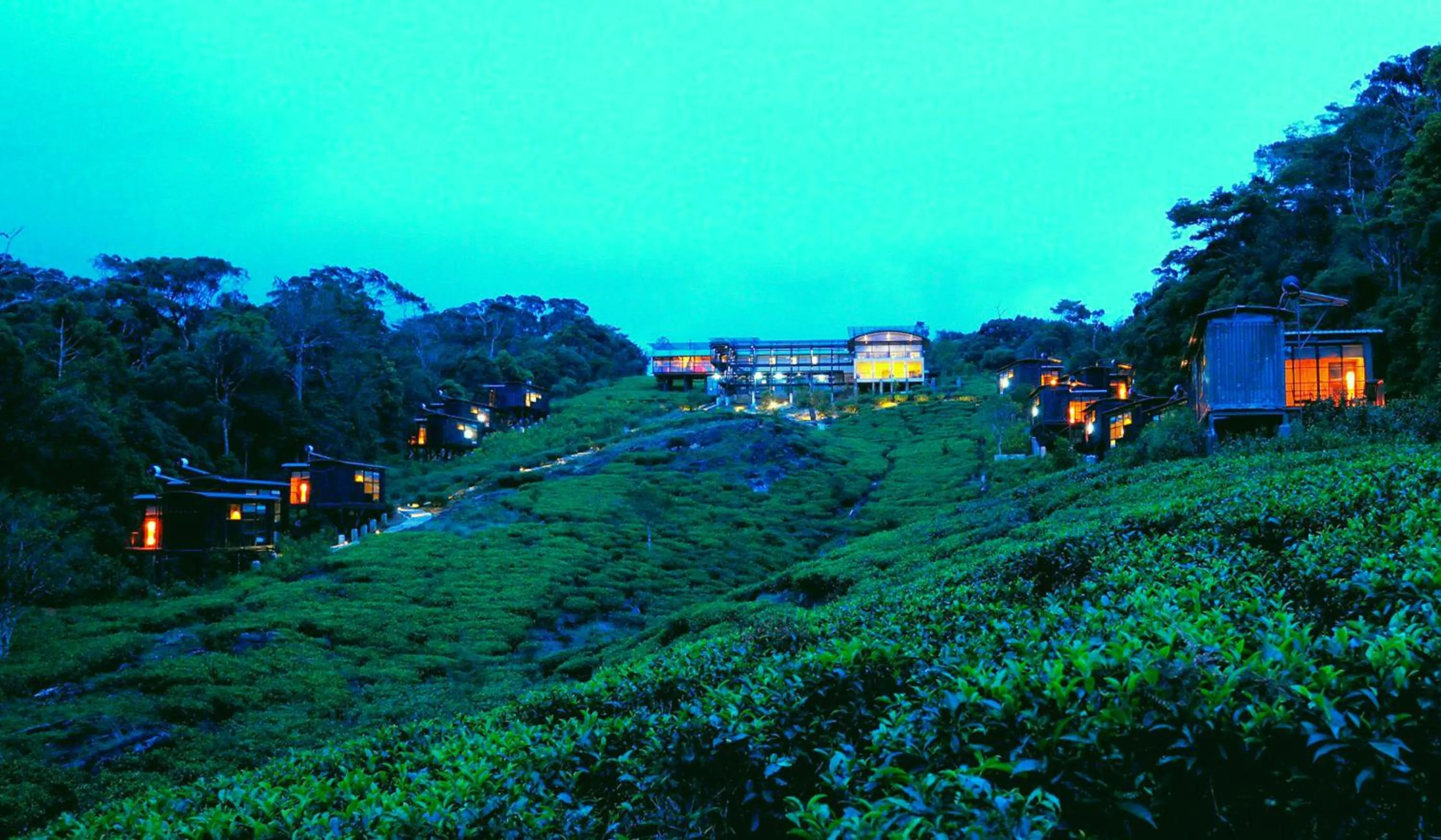 On site in The Rainforest Ecolodge - Sinharaja with Shuttle Service from Car Park