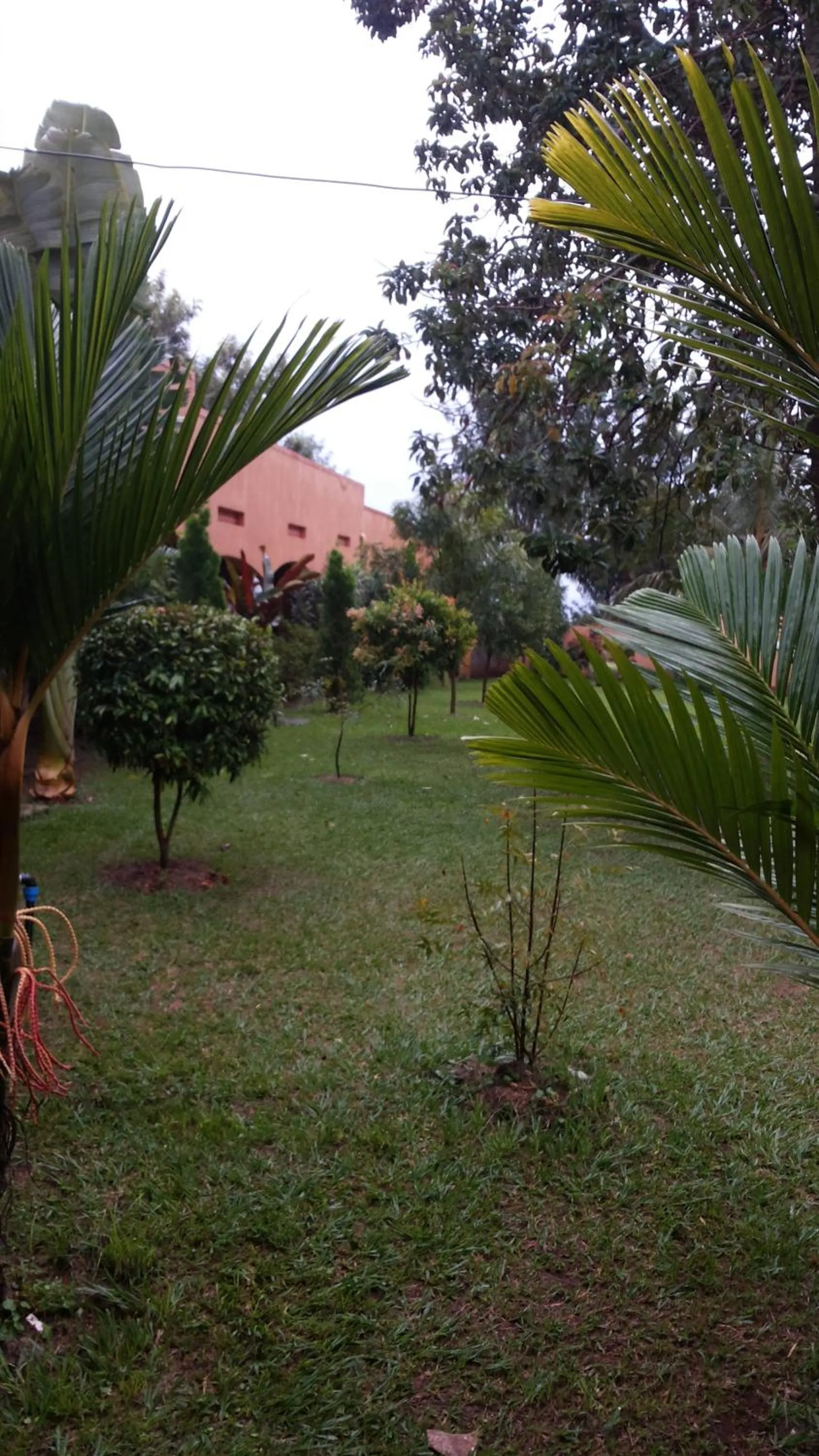 Garden in MakanHill Resort Hotel