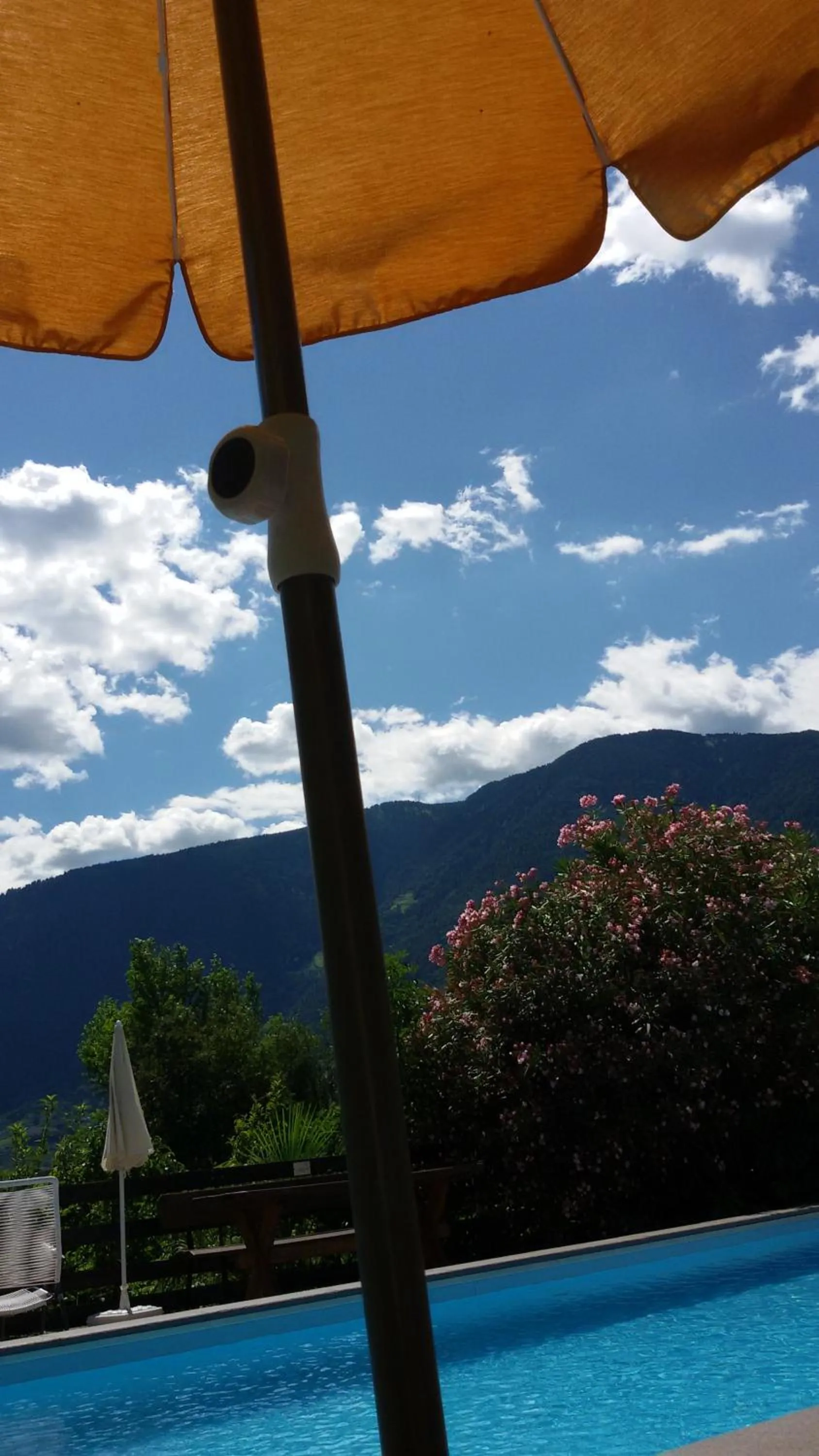 Summer in Residence Bichler