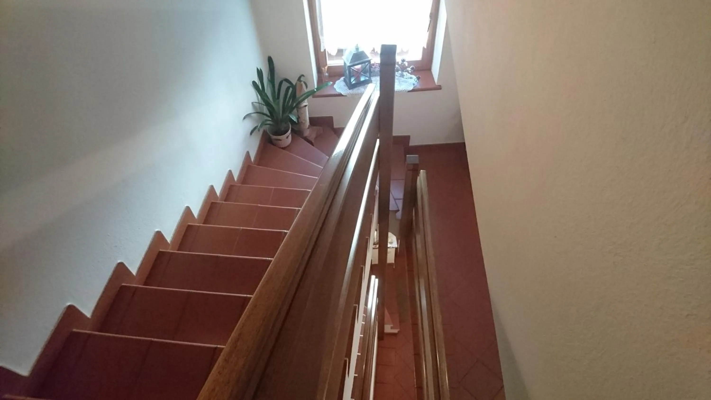 Property building in Residence Ploner