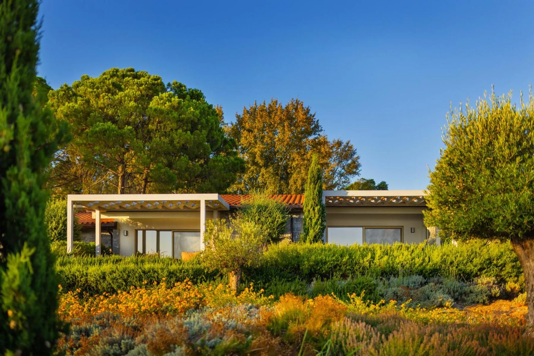 View (from property/room) in Mount Athos Resort