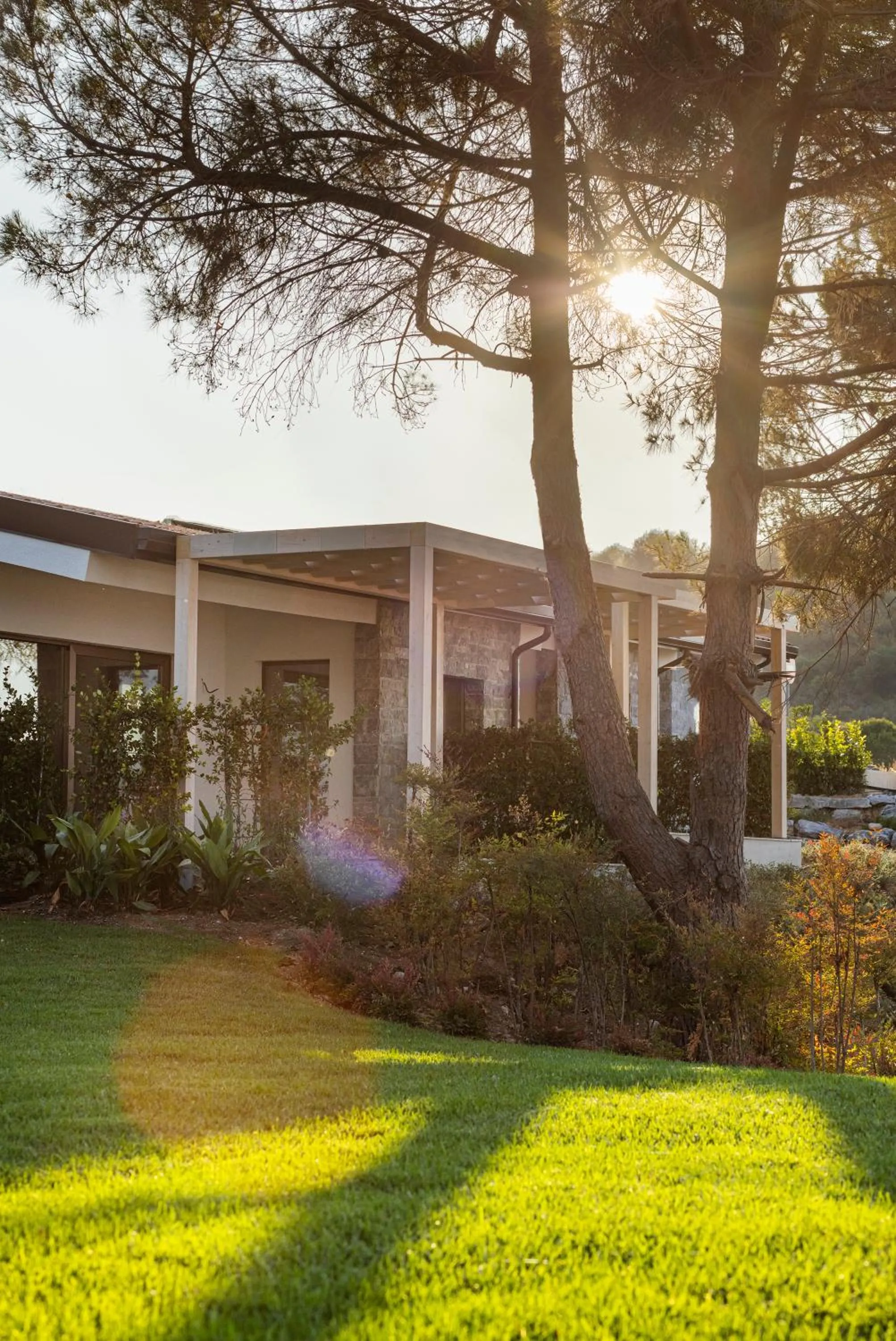 Garden in Mount Athos Resort