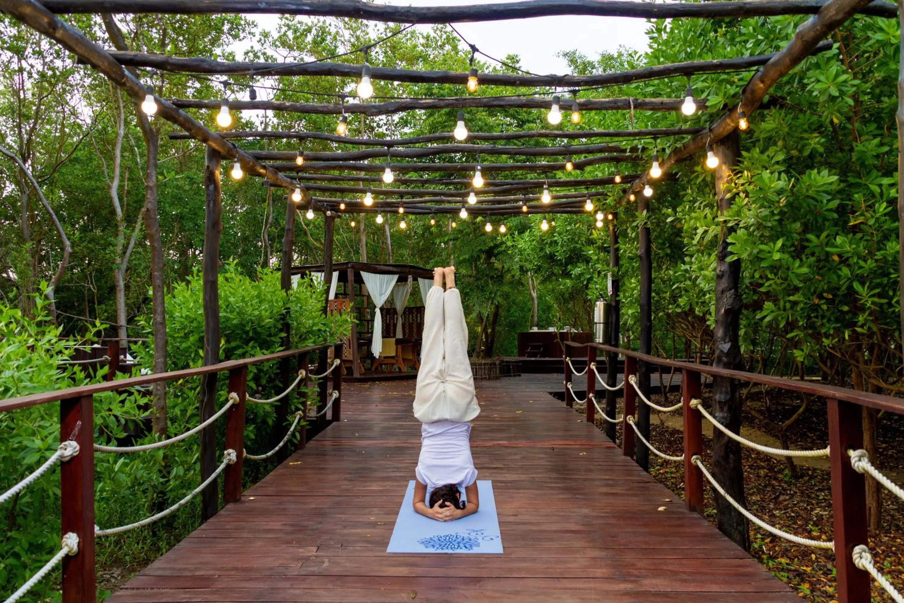 Spa and wellness centre/facilities in Santo Manglar Cartagena Life Wellness Spa Hotel