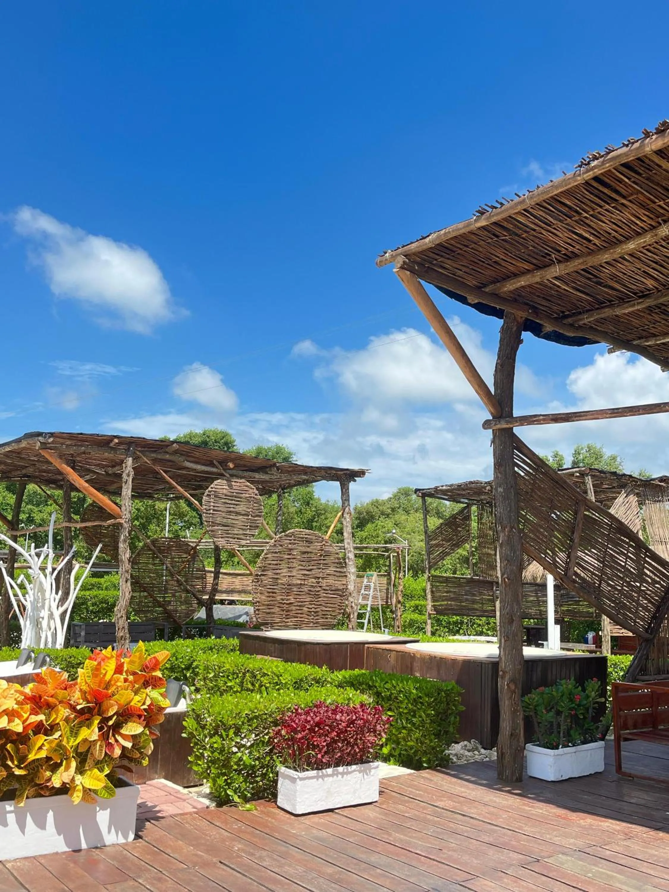 Garden in Santo Manglar Cartagena Life Wellness Spa Hotel