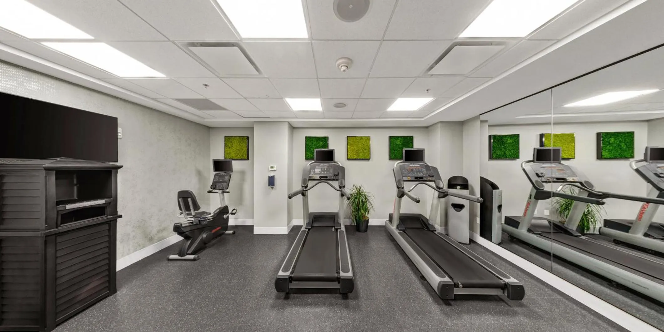 Fitness centre/facilities in Hotel Indigo New Orleans - French Quarter by IHG