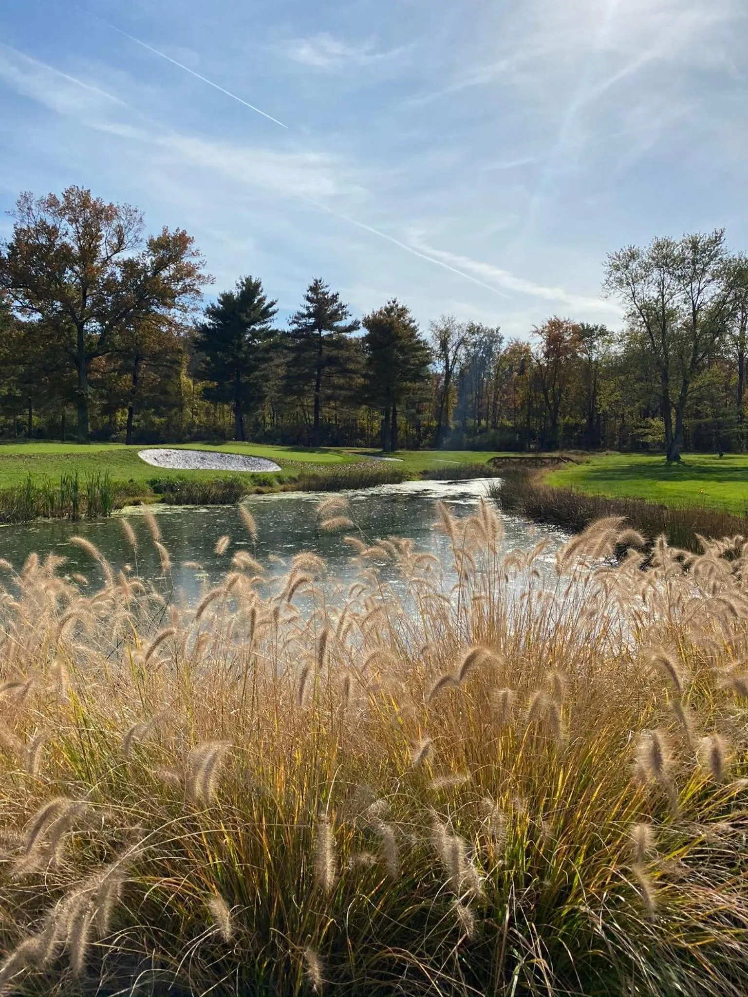 Garden in Turf Valley Resort
