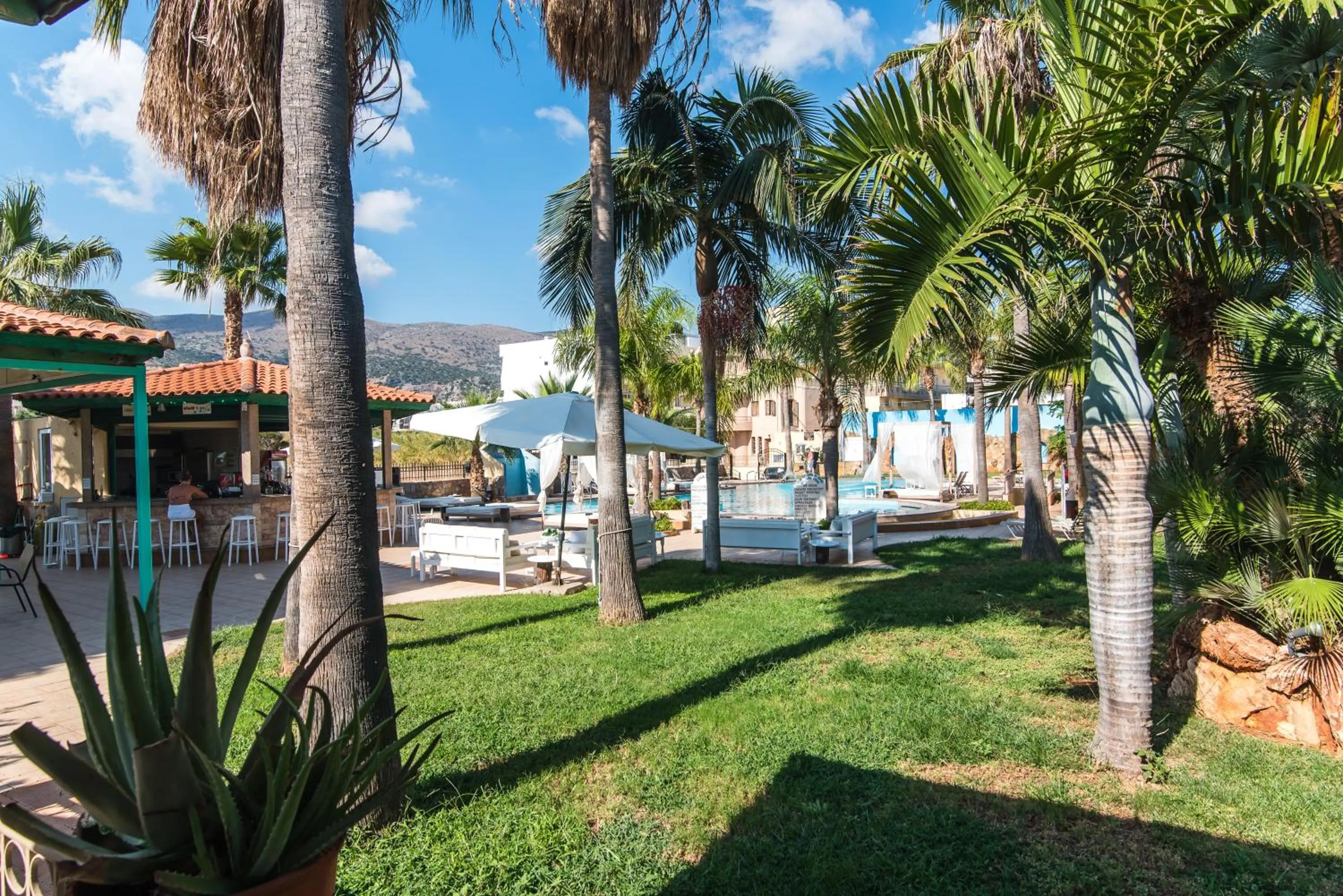 Property building in Oasis Studios