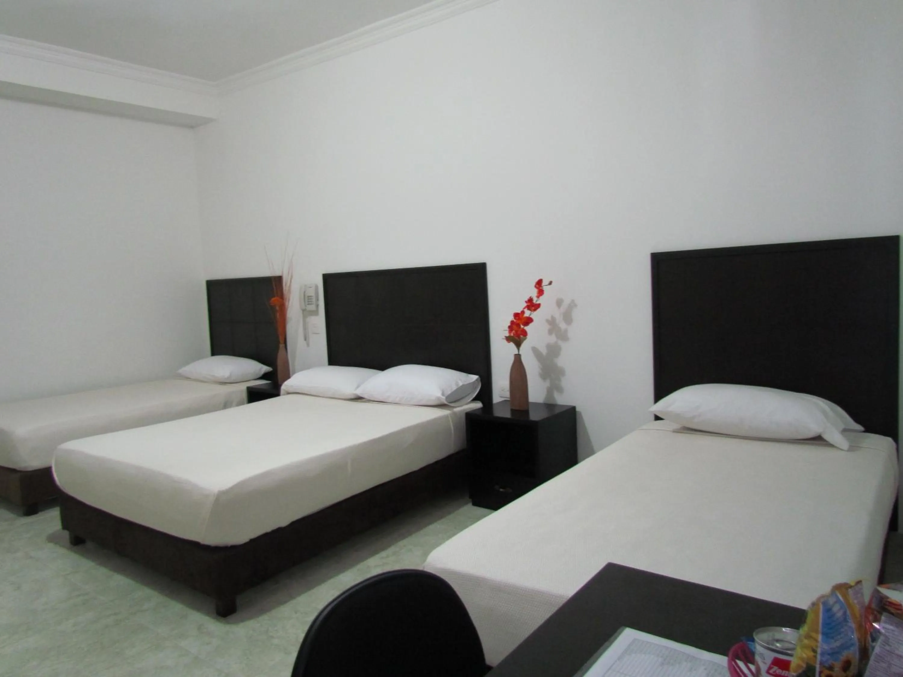 Triple Room in Hotel Iraqúa