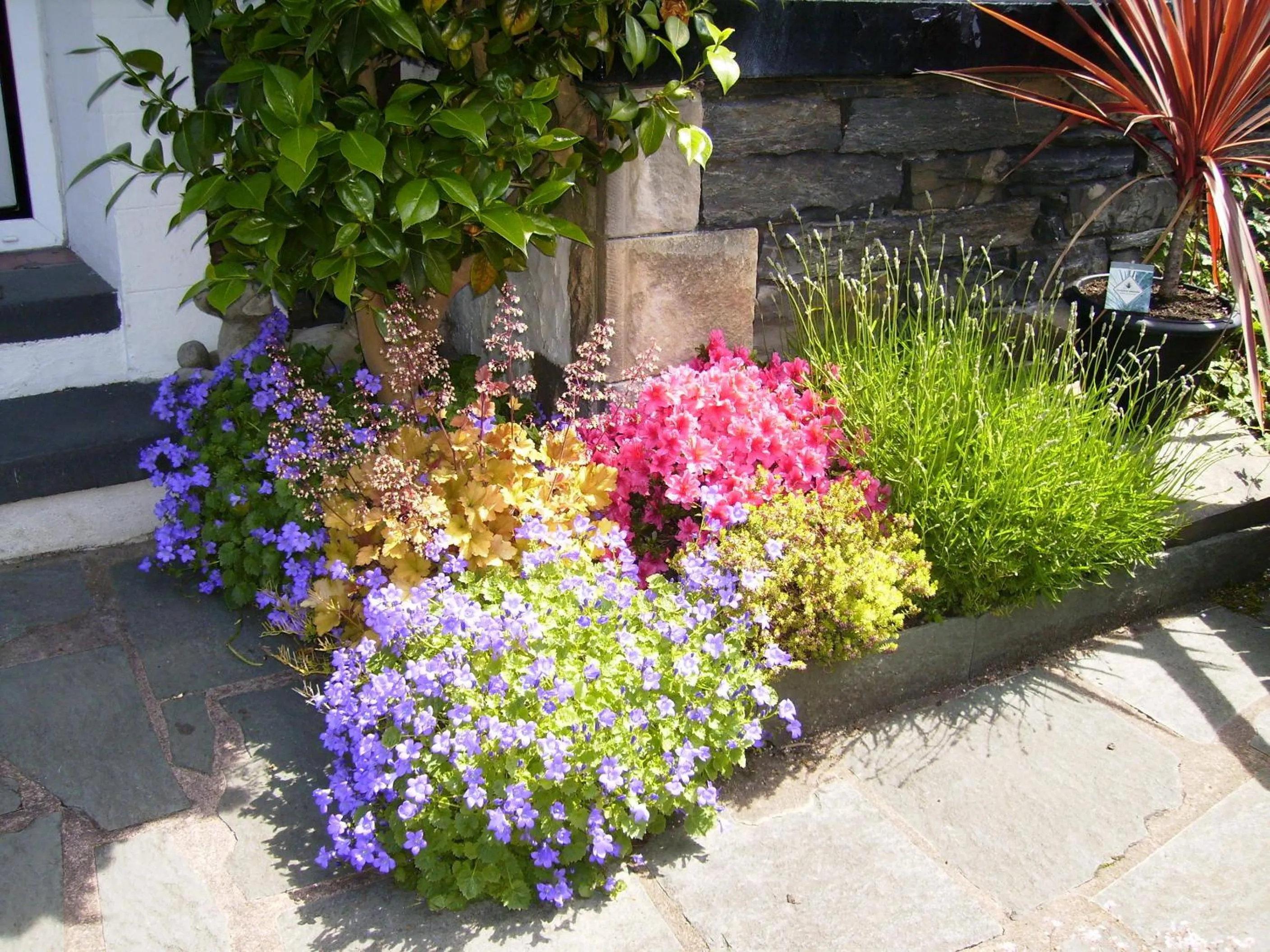 Garden in Westbury House