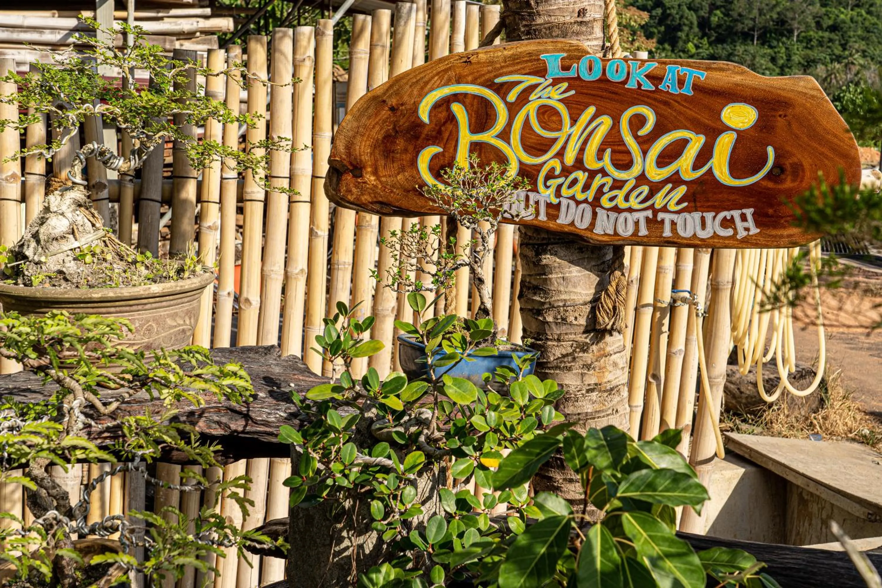 Garden in Bamboo Cottage Langkawi