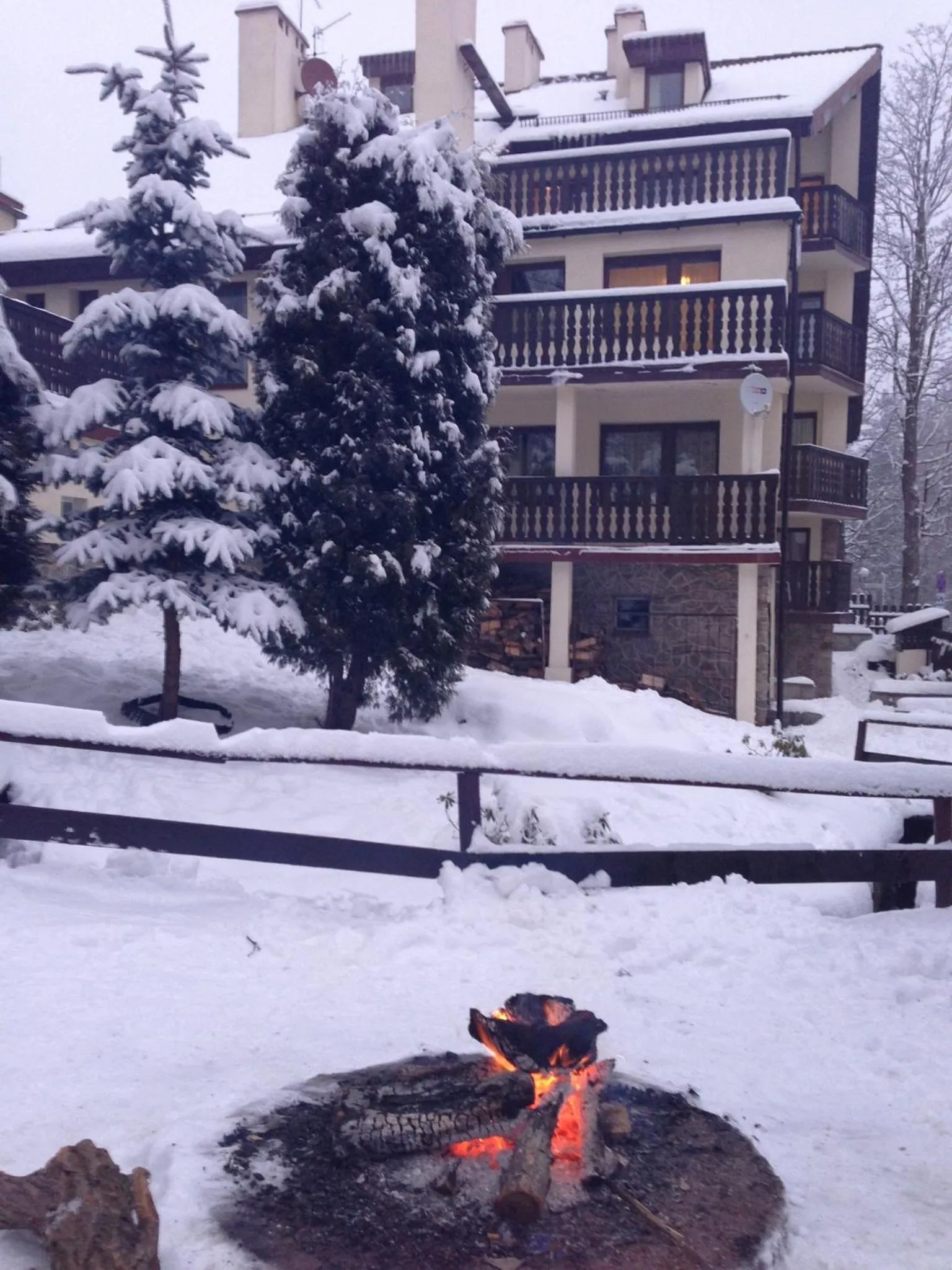 Garden in Pensjonat Kasia i Michał