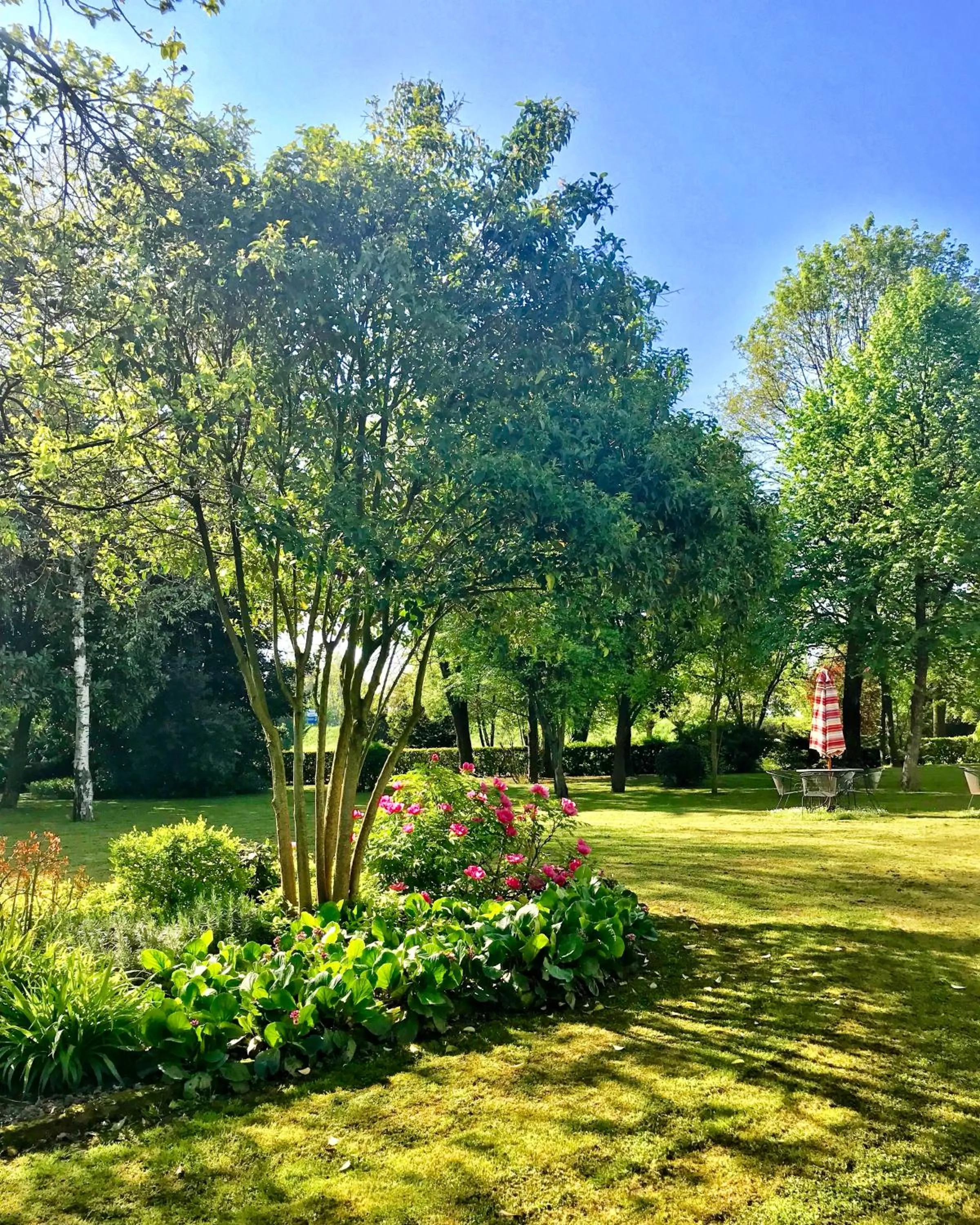 Natural landscape in Al Vecchio Fienile