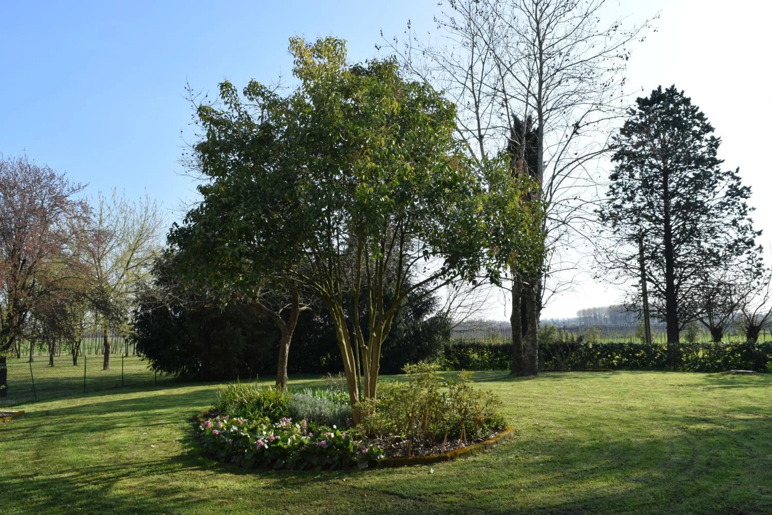 Day in Al Vecchio Fienile