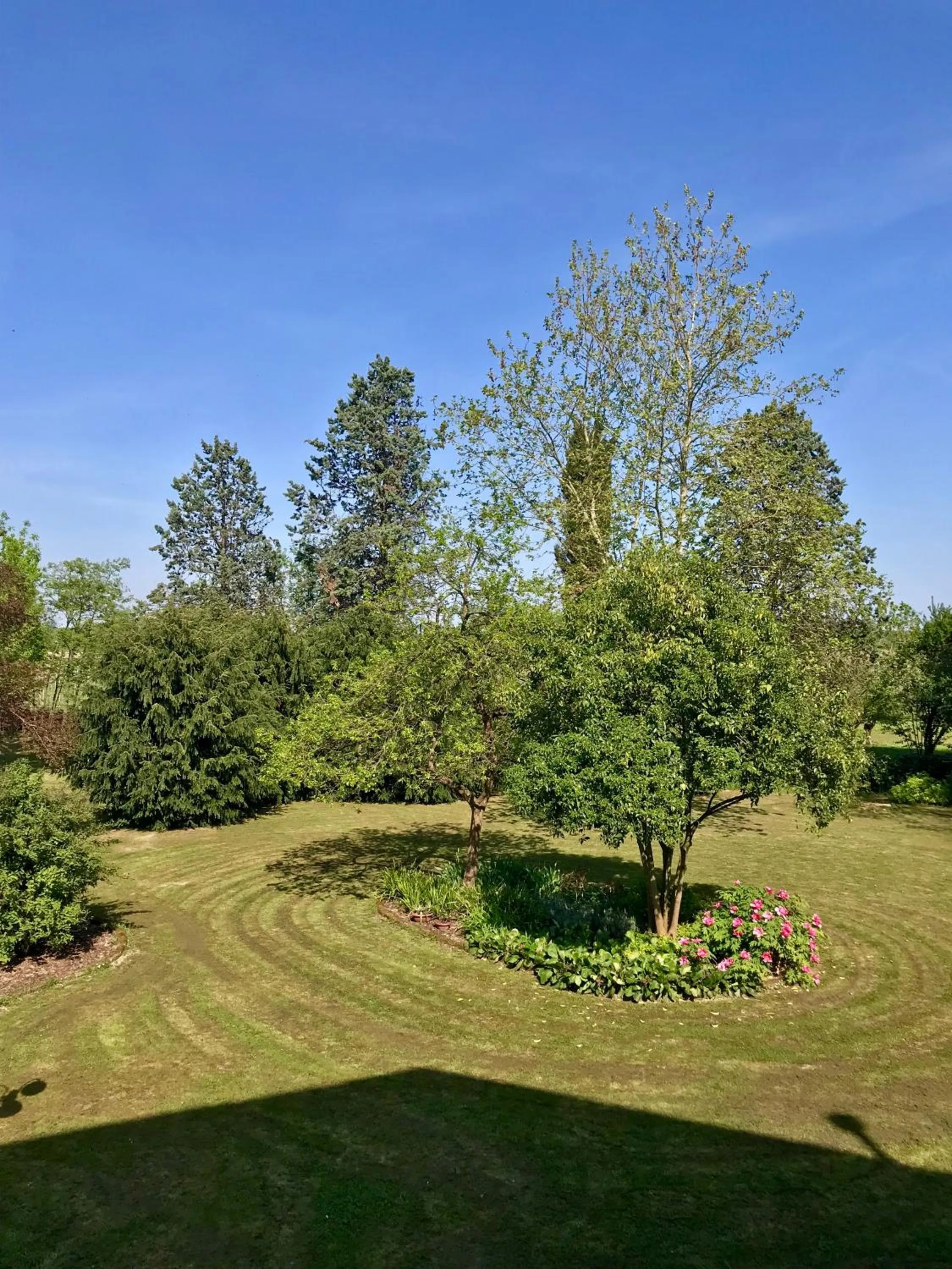 Natural landscape in Al Vecchio Fienile