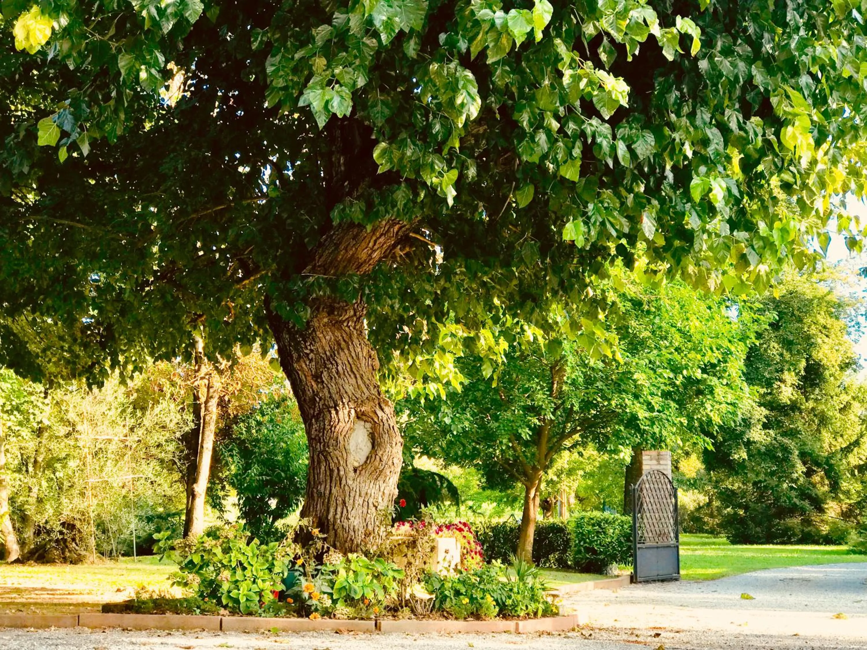 Natural landscape in Al Vecchio Fienile