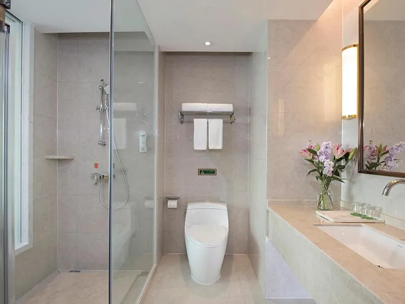 Vienna International Hotel (Changsha Ningxiang South Bus Station)