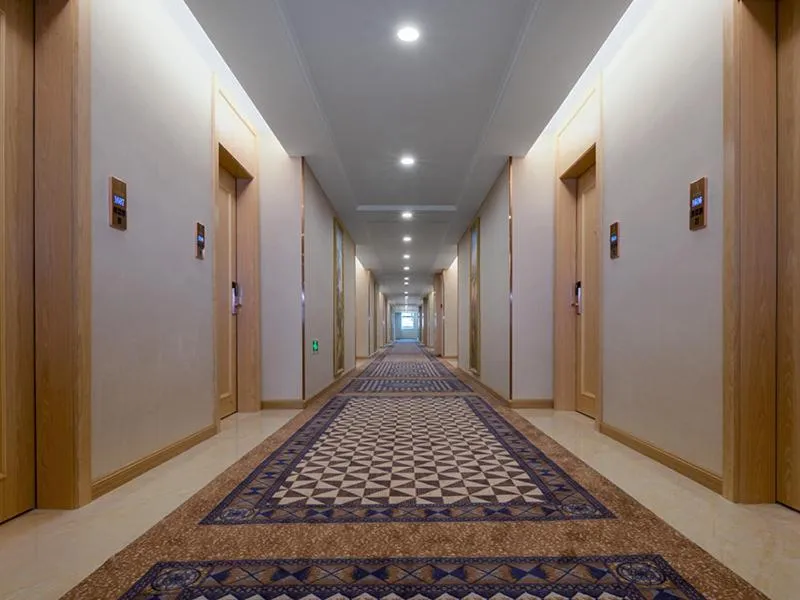 Vienna International Hotel(Jinjiang Jordan Center)