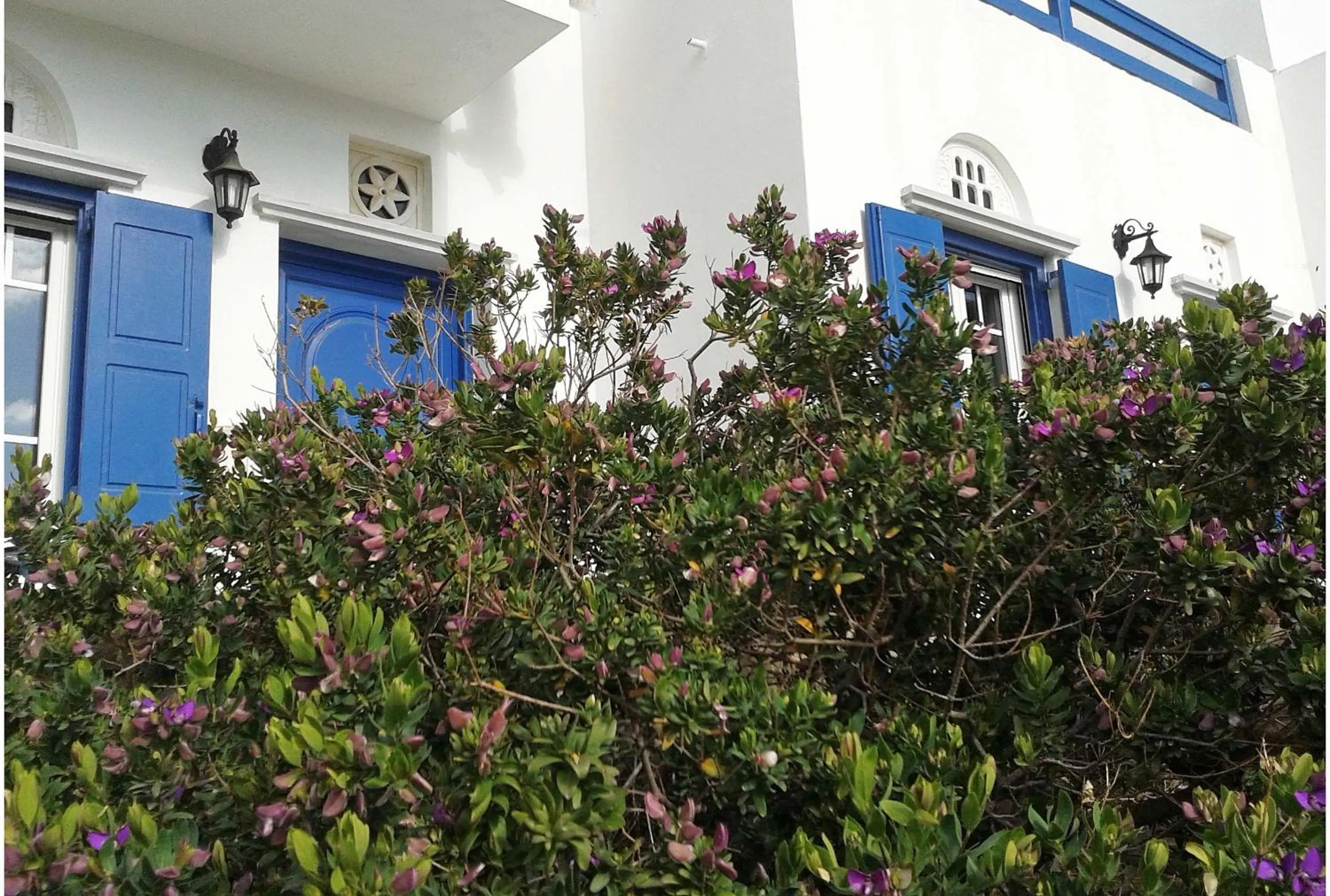 Decorative detail in Nostos Beachfront Apartments & Studios