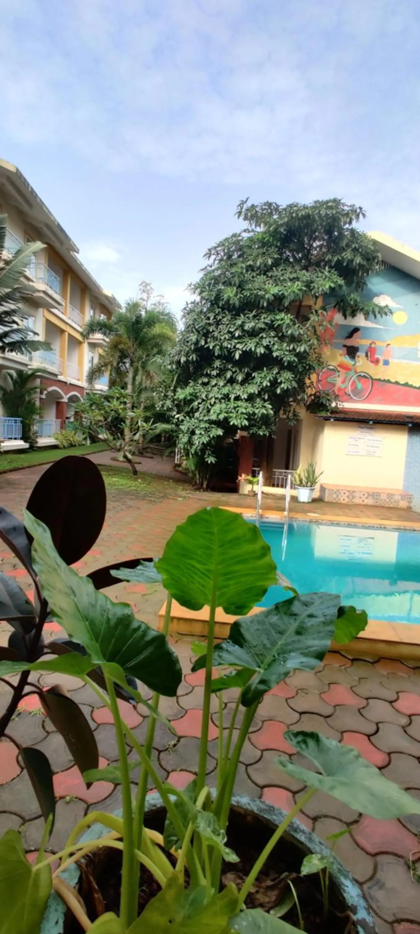 Swimming pool in Passions de Goa