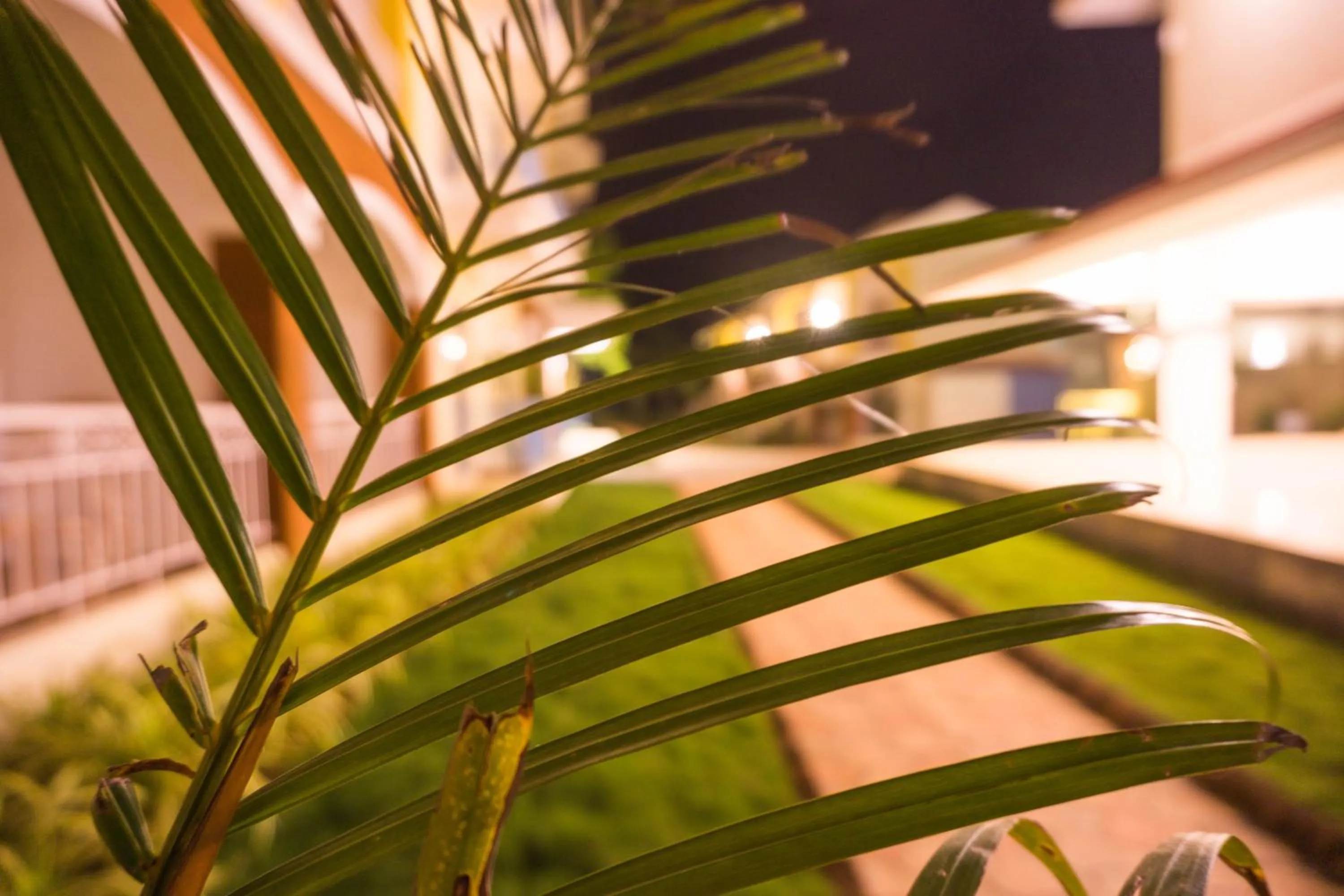 Property building in Passions de Goa