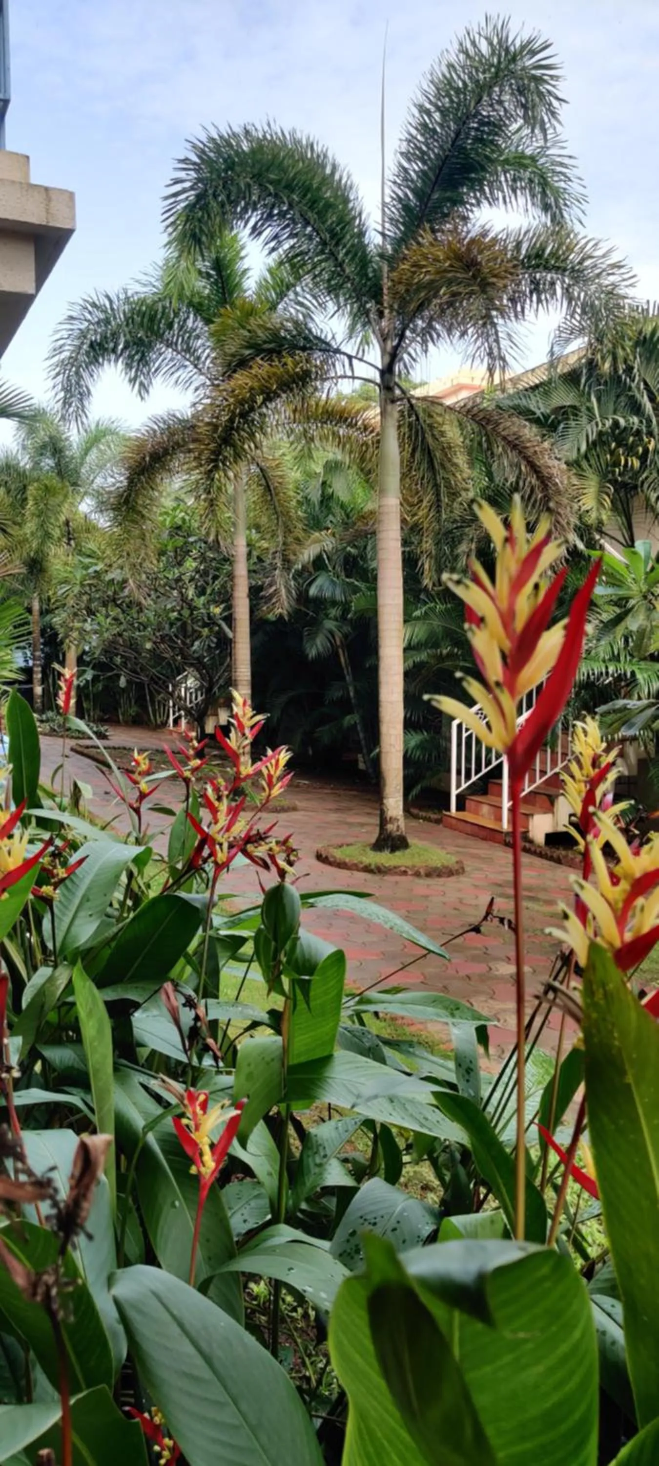 Property building in Passions de Goa