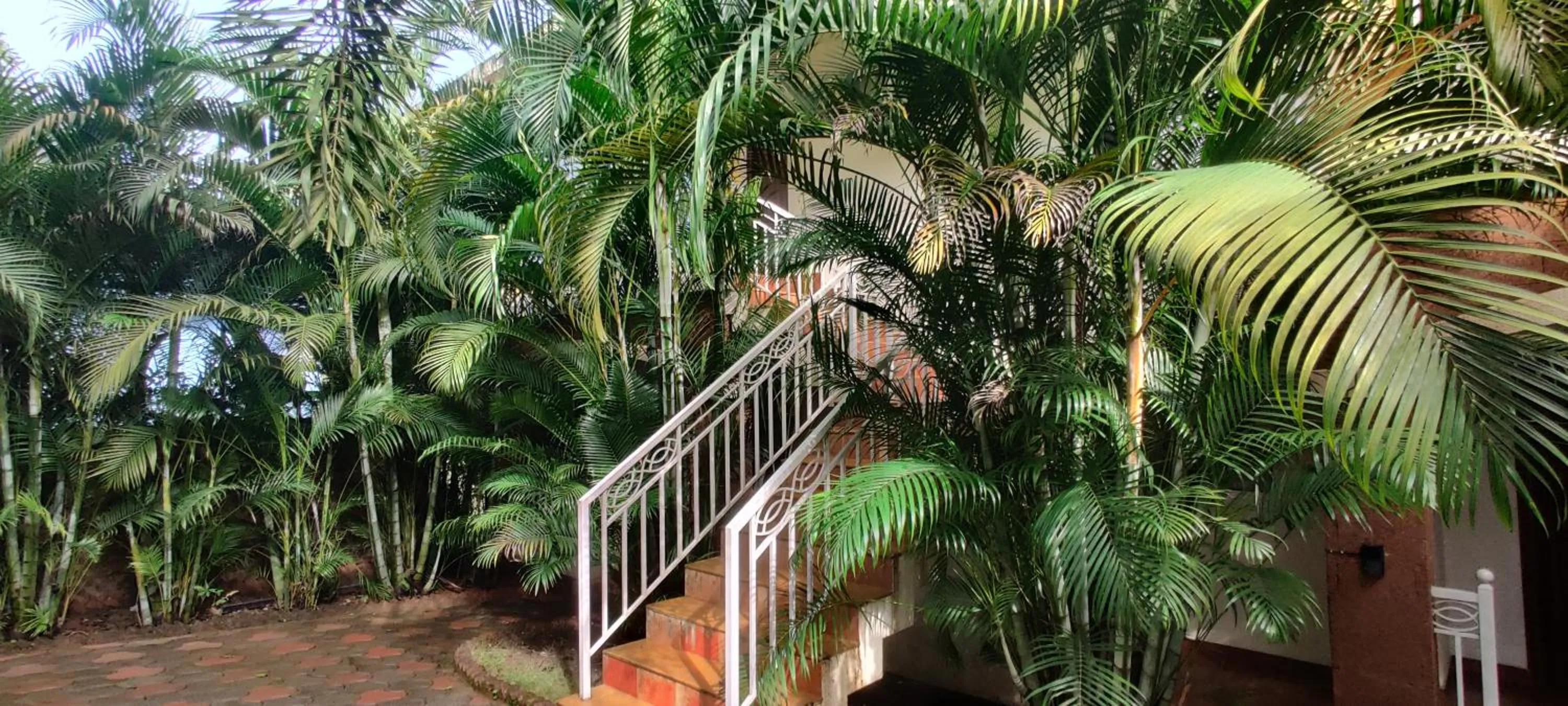 Garden in Passions de Goa