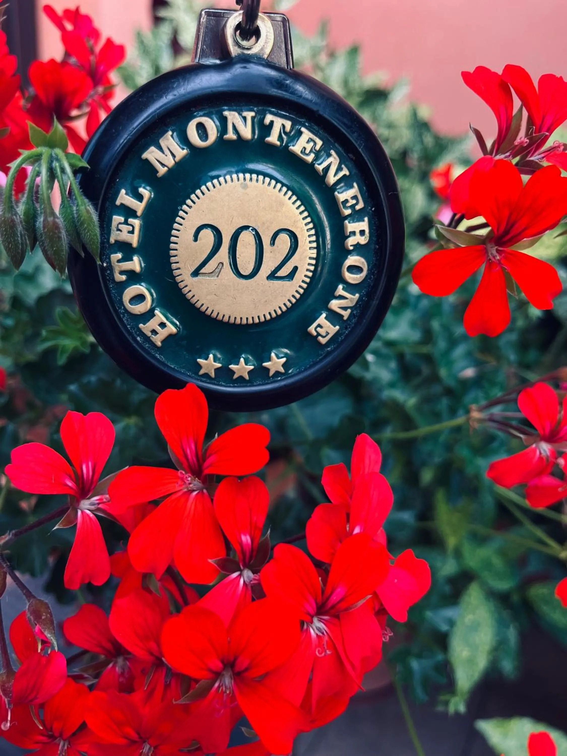 Hotel Ristorante Montenerone Il Poeta