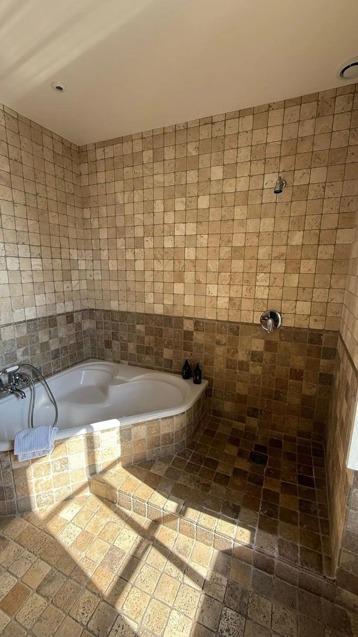 Shower in Manoir Des Douets Fleuris