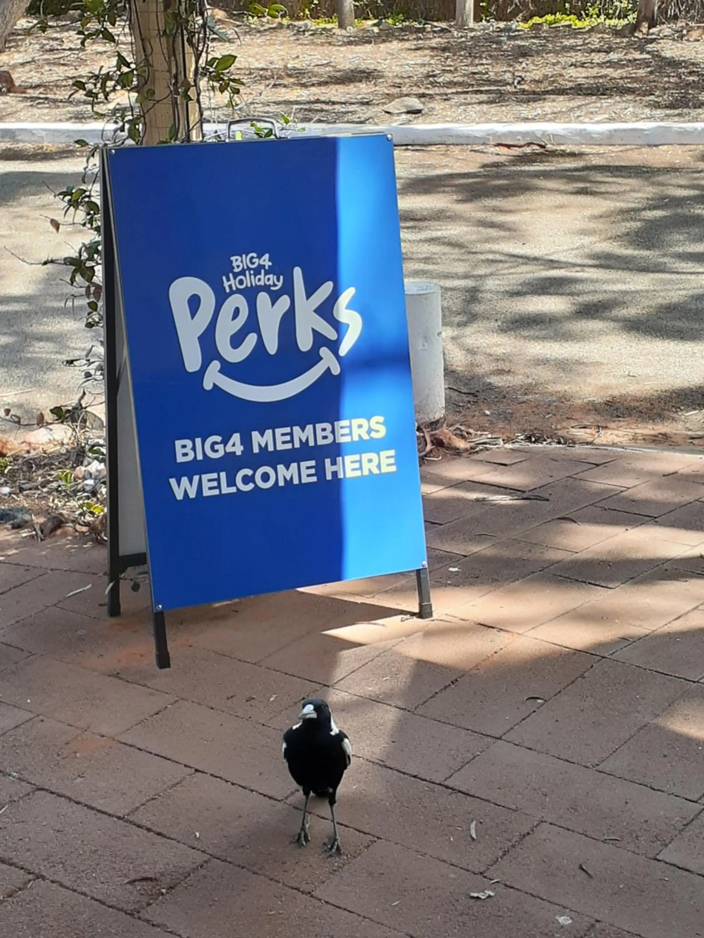 Acclaim Gateway Tourist Park