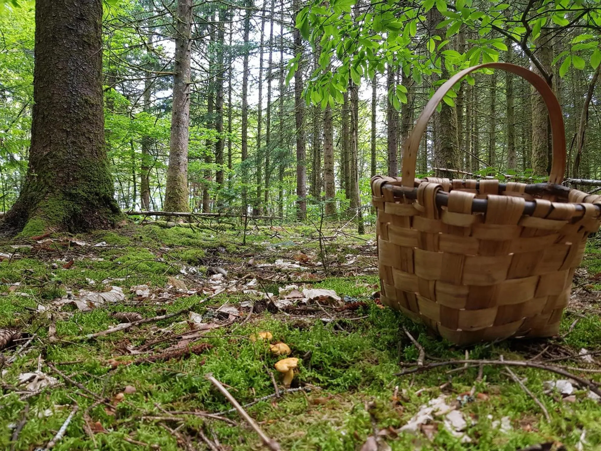 Activities in Camping du Lac