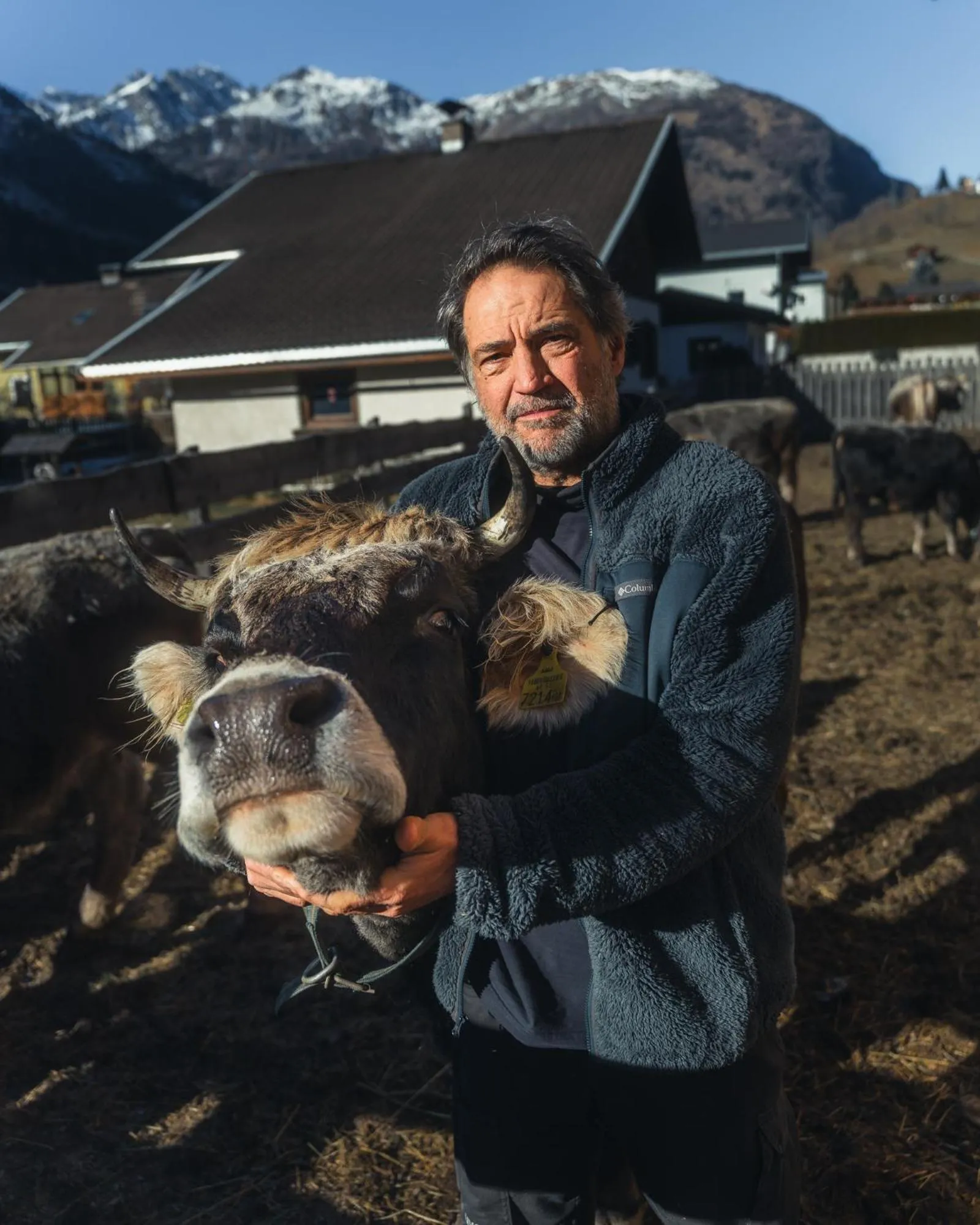 Animals in Hotel Schlosswirt