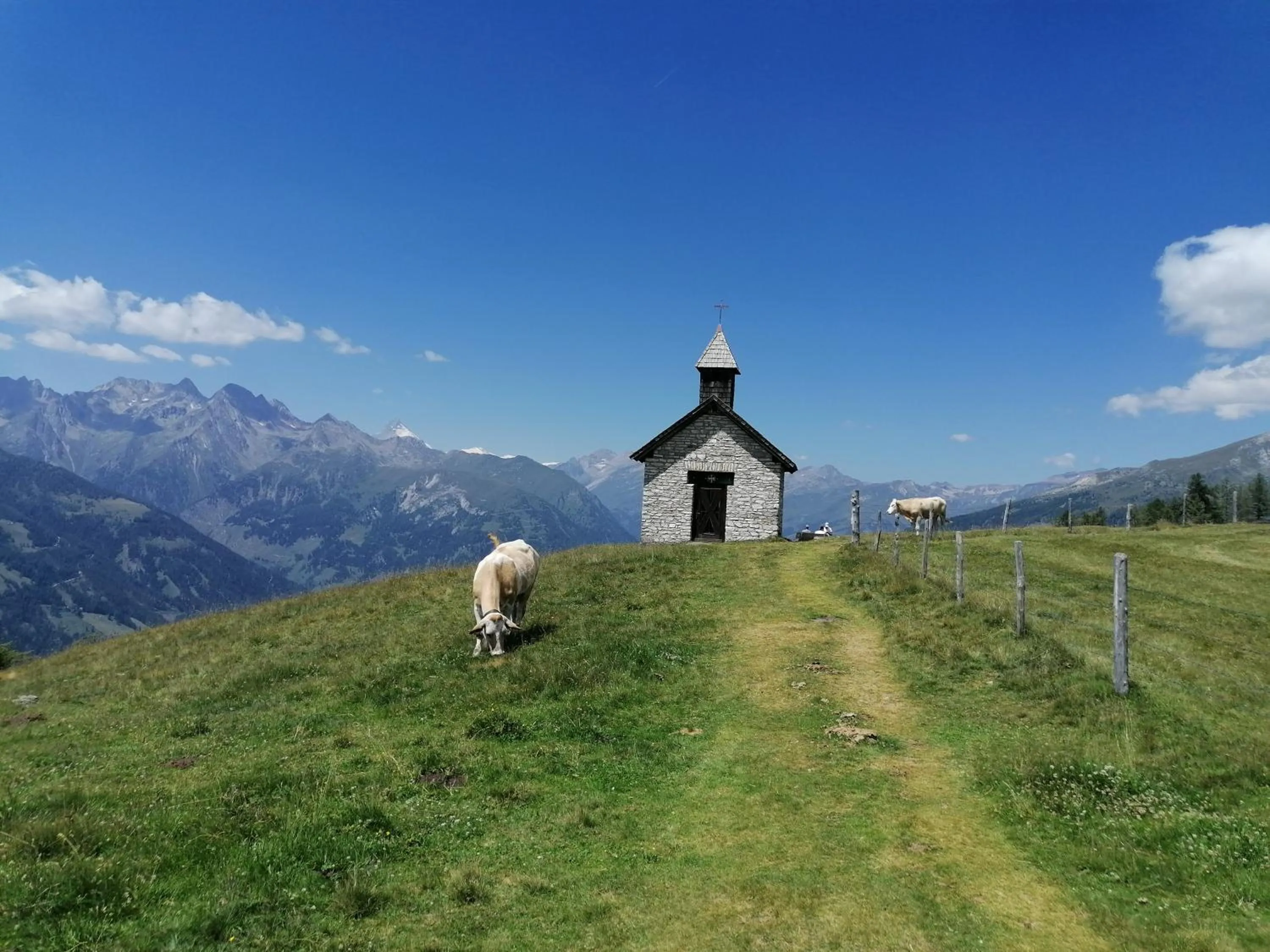Hiking in Hotel Schlosswirt