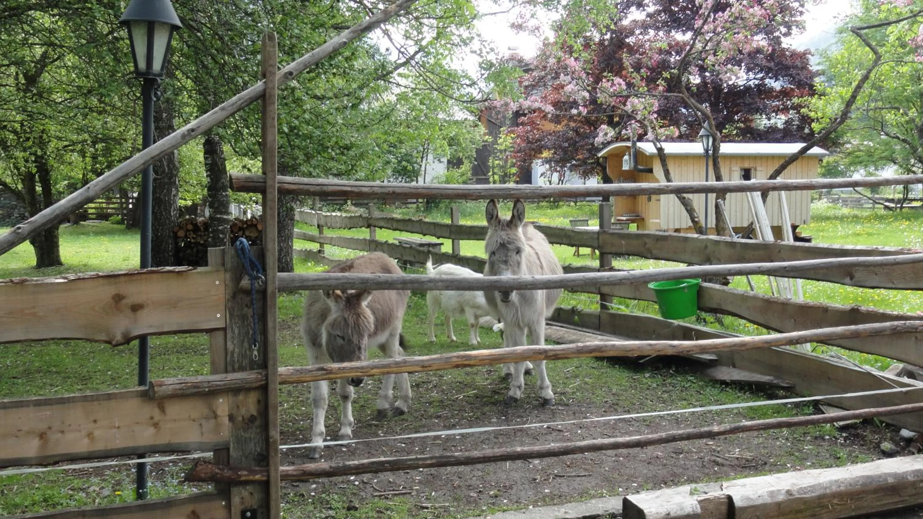 Garden in Hotel Schlosswirt