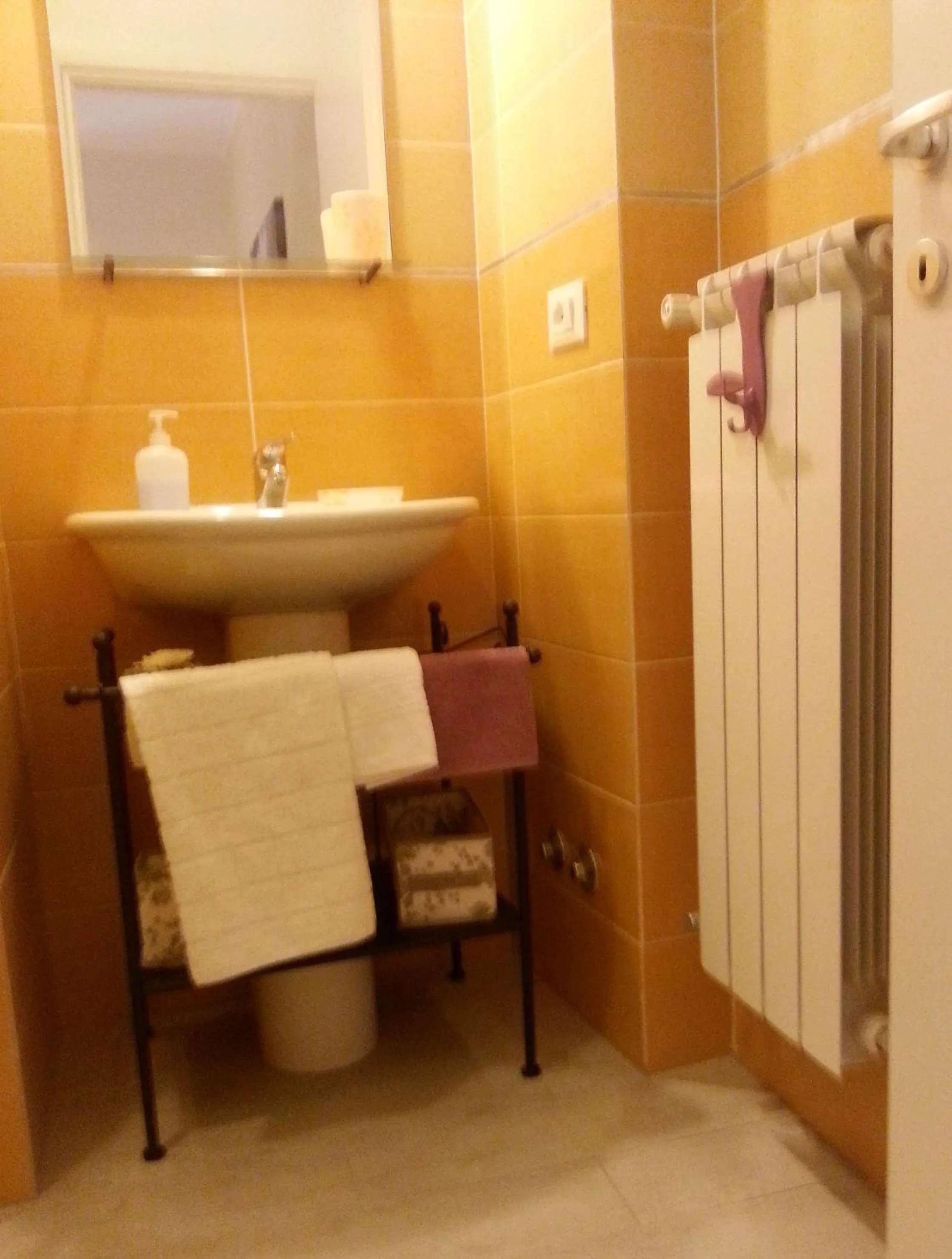 Bathroom in Home 103