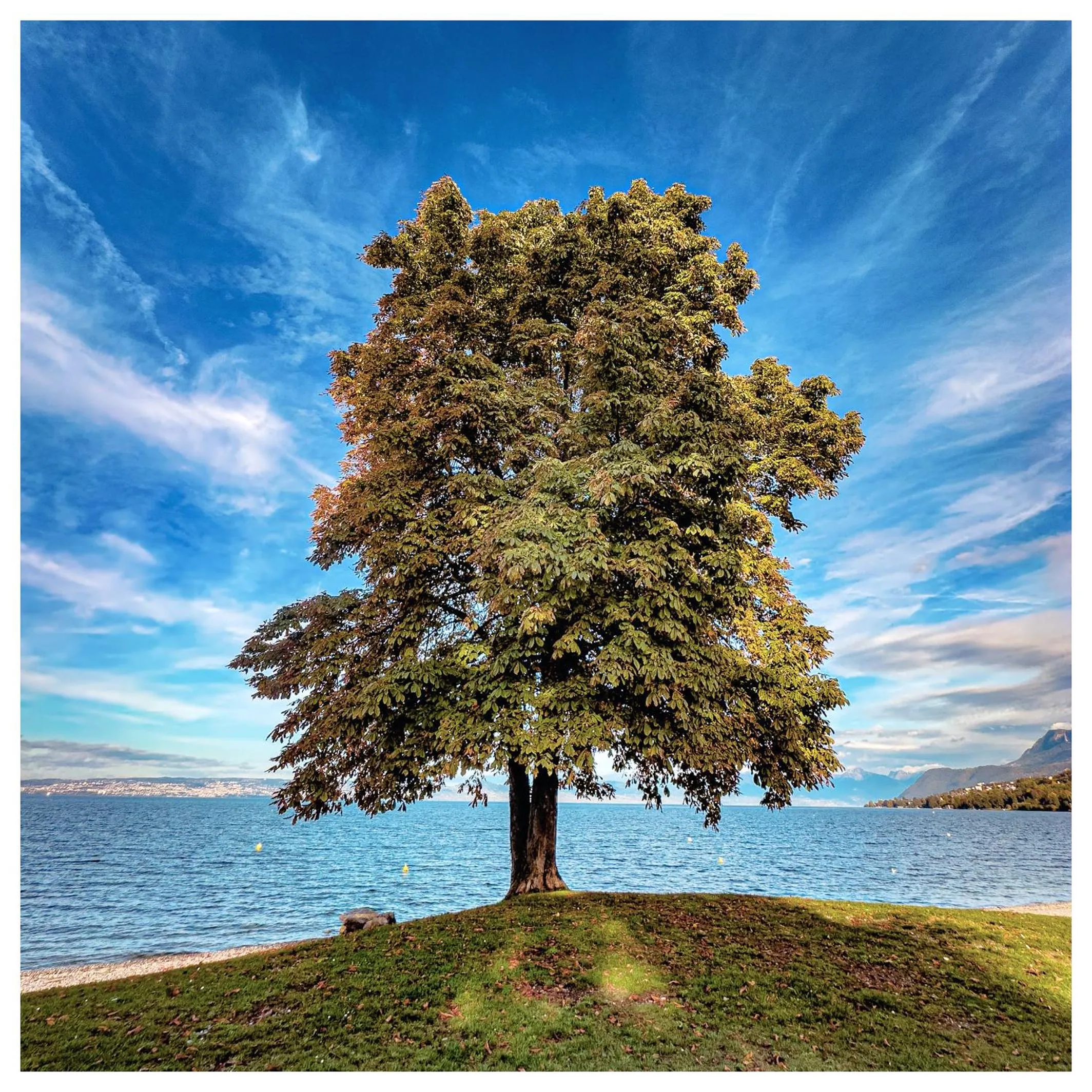 Beach in Hôtel De La Plage
