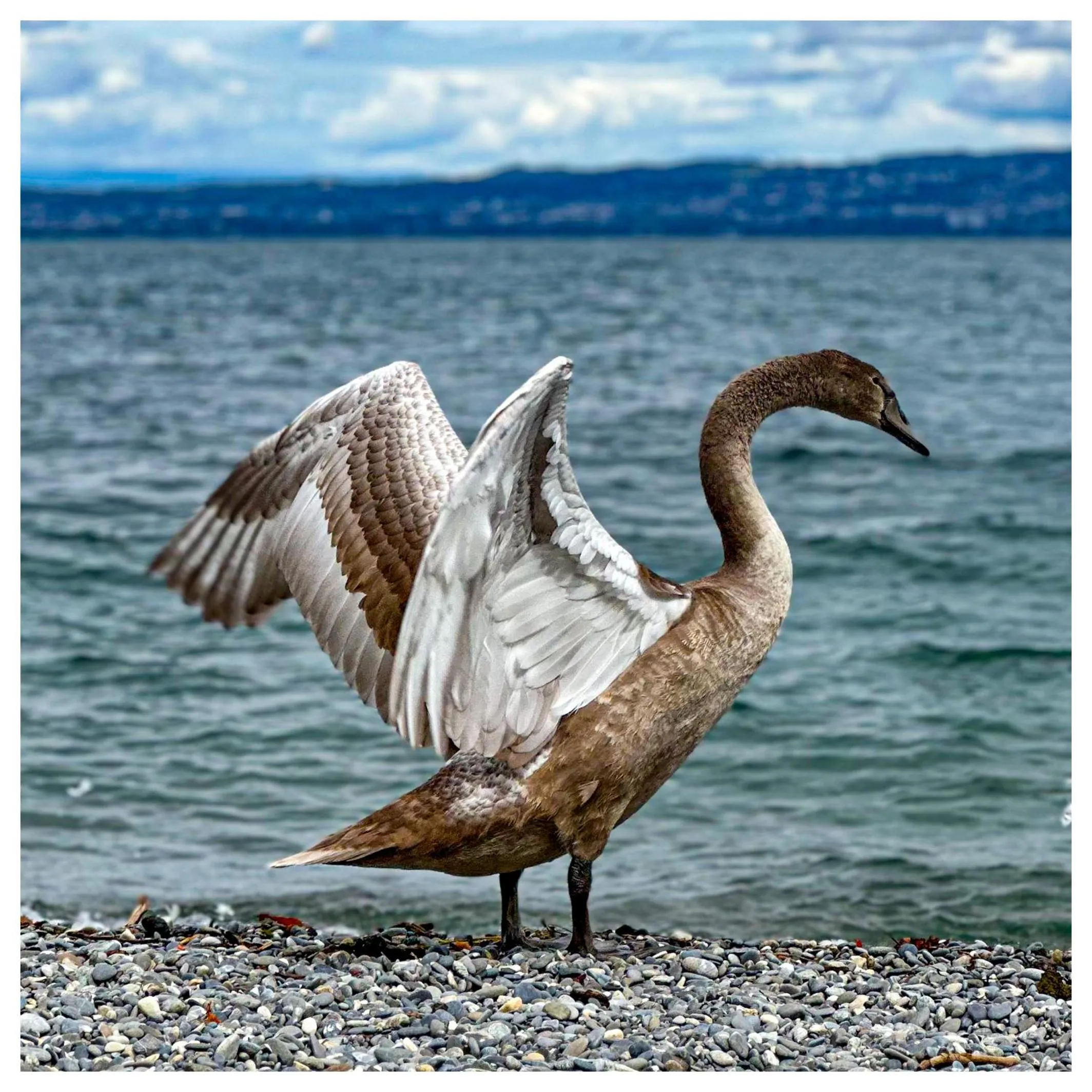 Natural landscape in Hôtel De La Plage