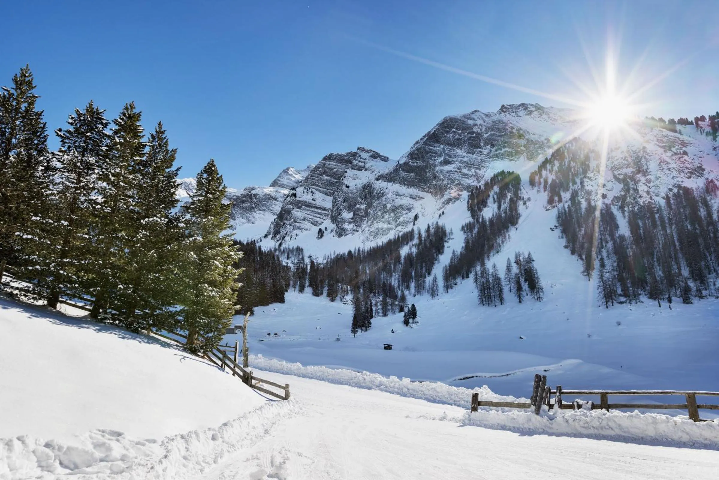 View (from property/room) in Berggasthaus Höllensteinhütte