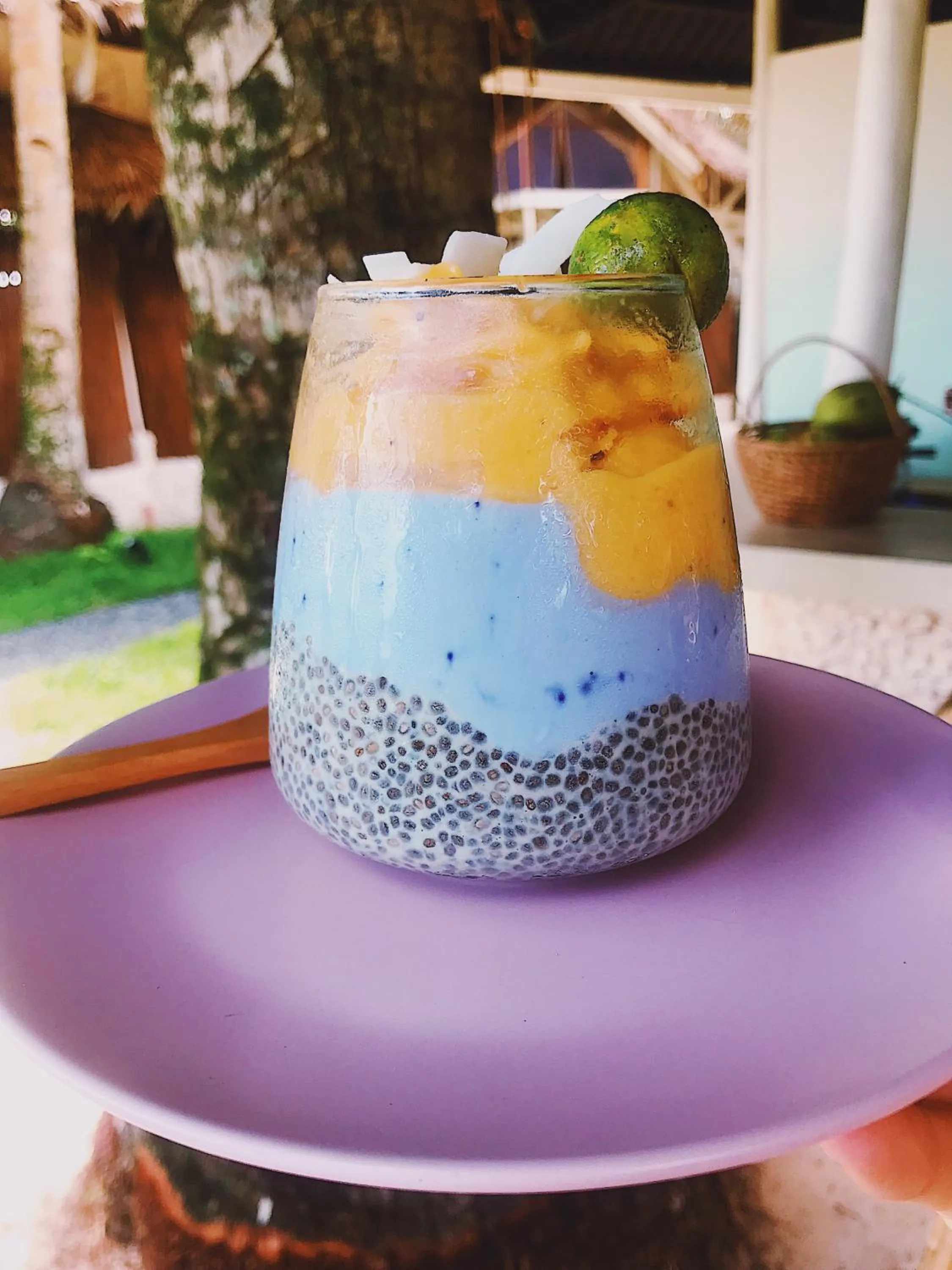 Punta Punta Surf Retreat