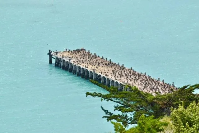 Nearby landmark in The Vicarage Boutique Bed and Breakfast Oamaru