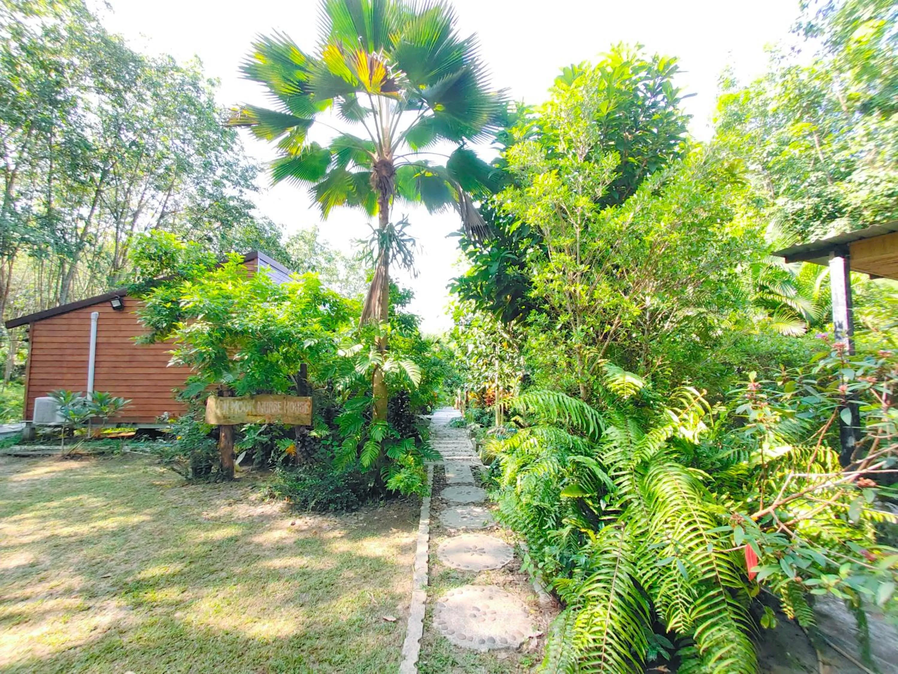 Natural landscape in Kohmook Nurse House
