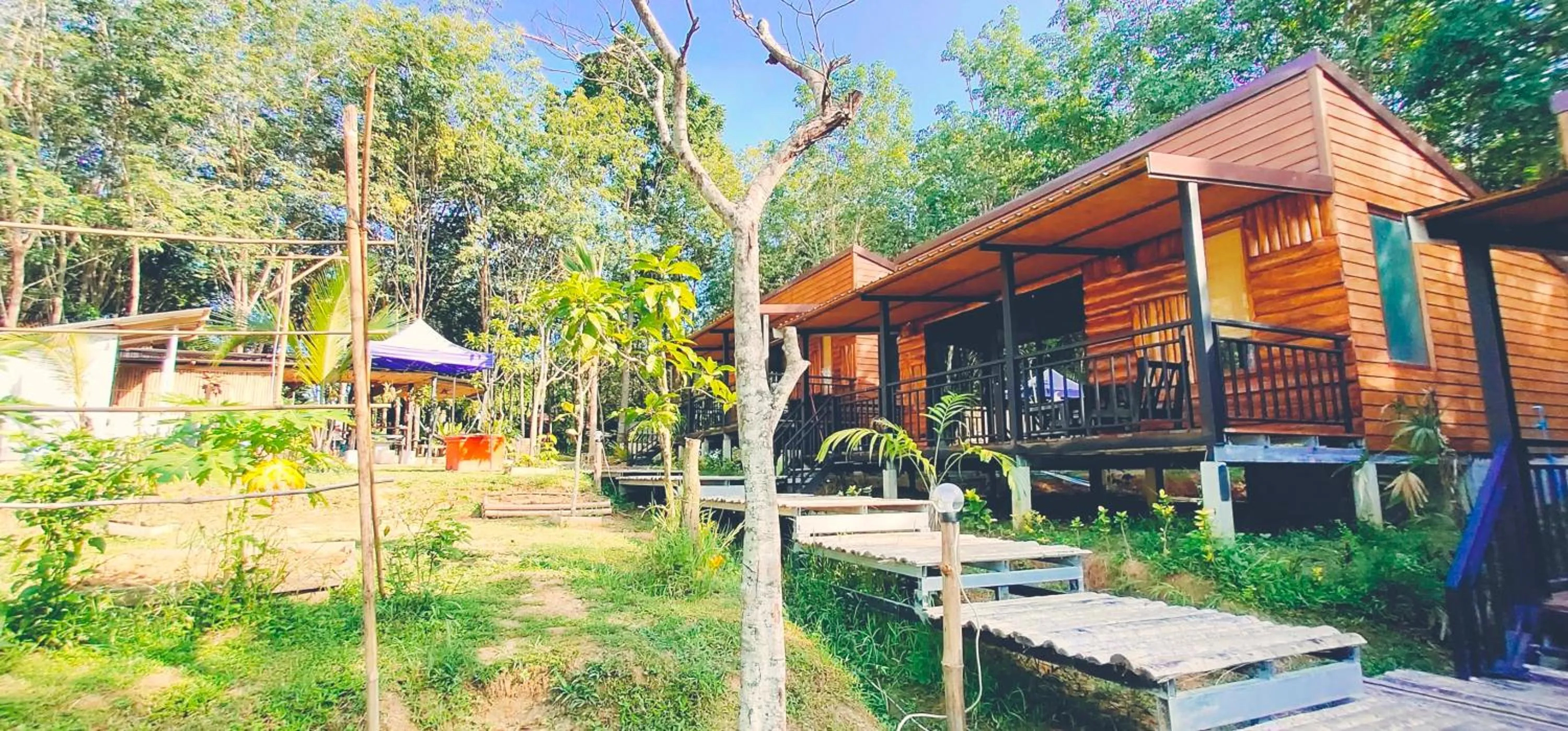 Natural landscape in Kohmook Nurse House