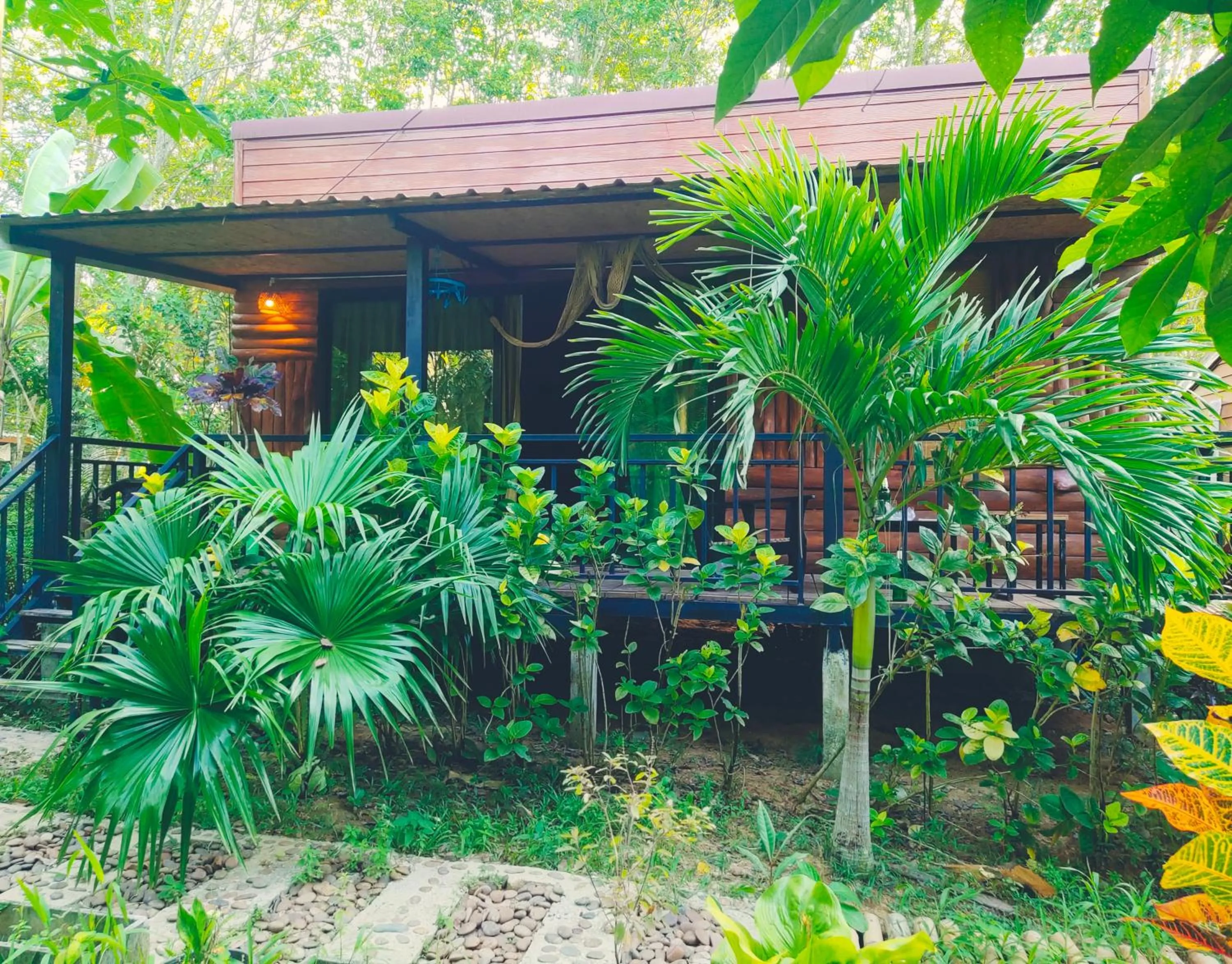 Garden view in Kohmook Nurse House