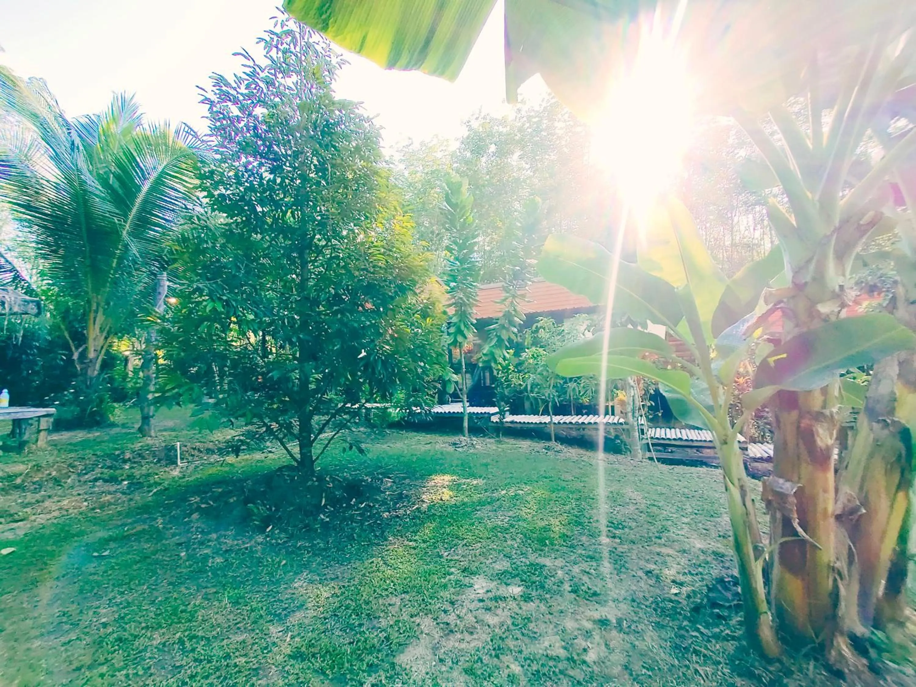 Natural landscape in Kohmook Nurse House